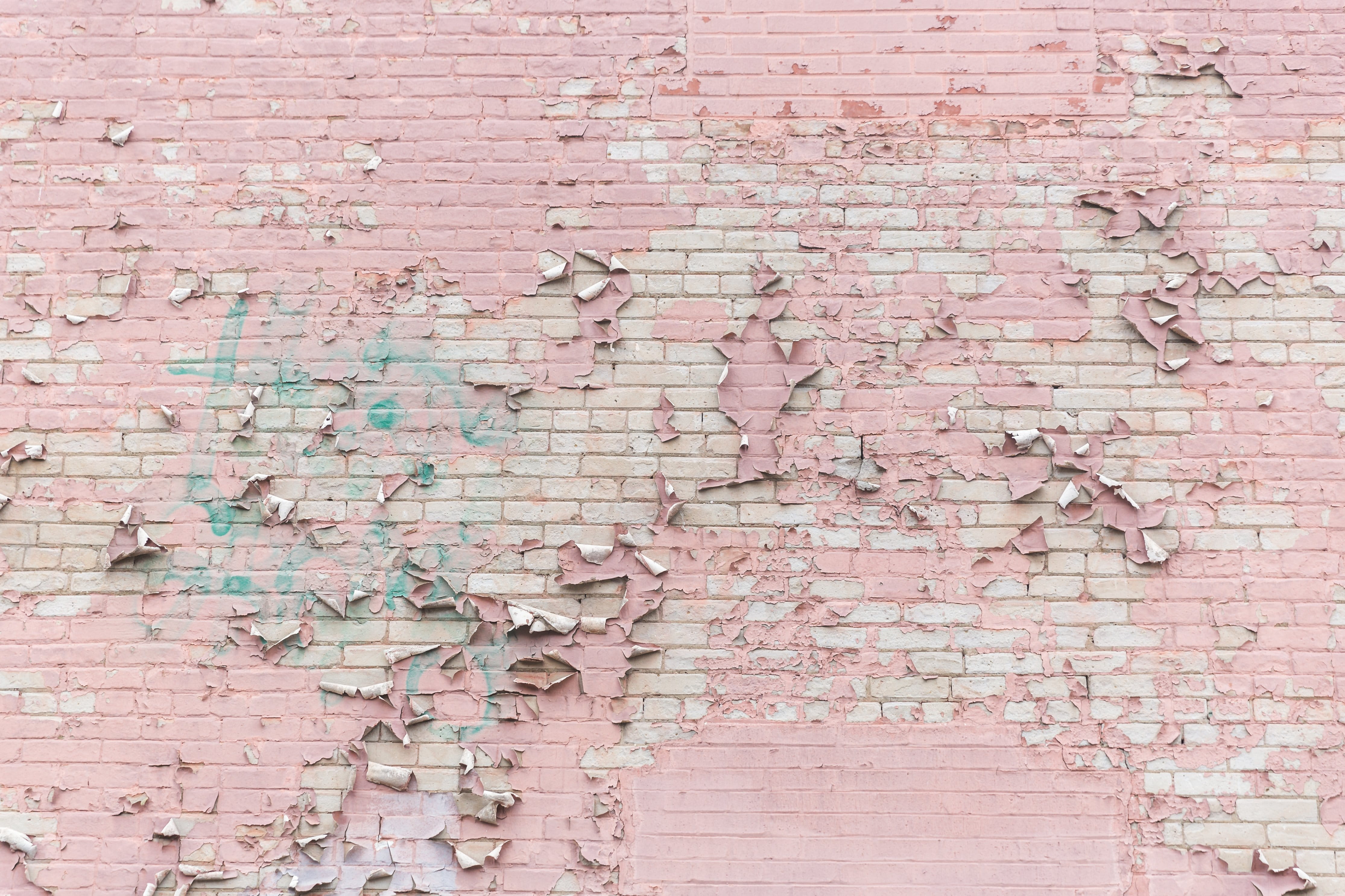 backgrounds, paint, texture, photo, decline, weathered, close-up, built structure, brick, peeling, Pink, Urban Life, 4K, no people, pattern, brick wall, HD Wallpaper