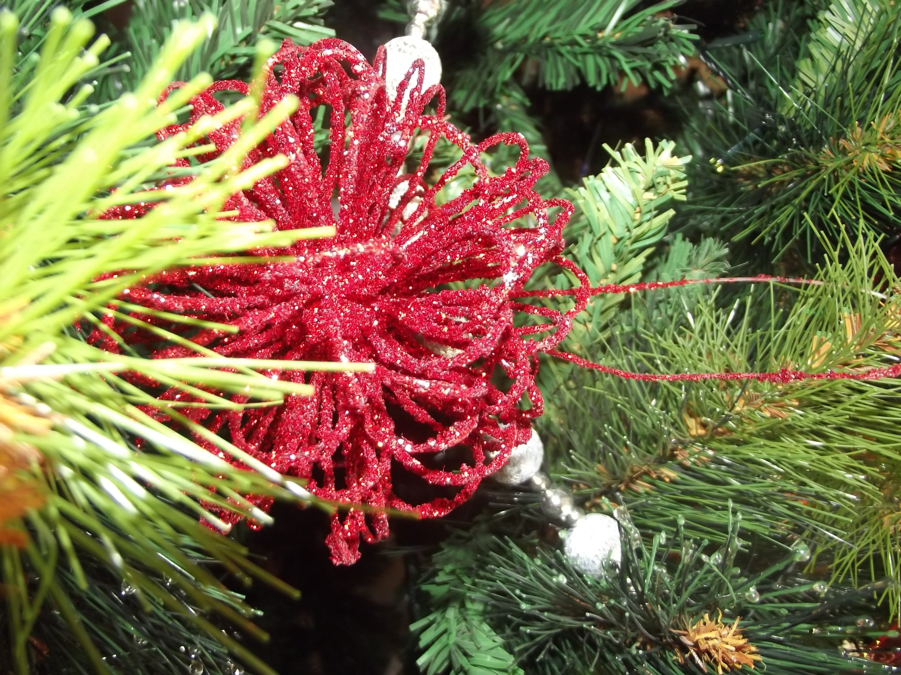christmas tree, 2K, freshness, close-up, coniferous tree, outdoors, pine tree, nature, christmas decoration, flower head, beauty in nature, vulnerability, HD Wallpaper