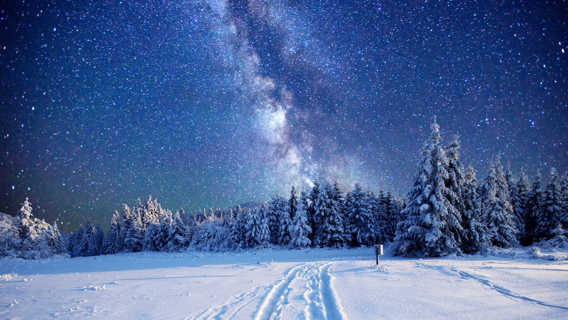 green, sky, milky, winter, milky way, pine, cone, tree, stars, way, 1080P, HD Wallpaper