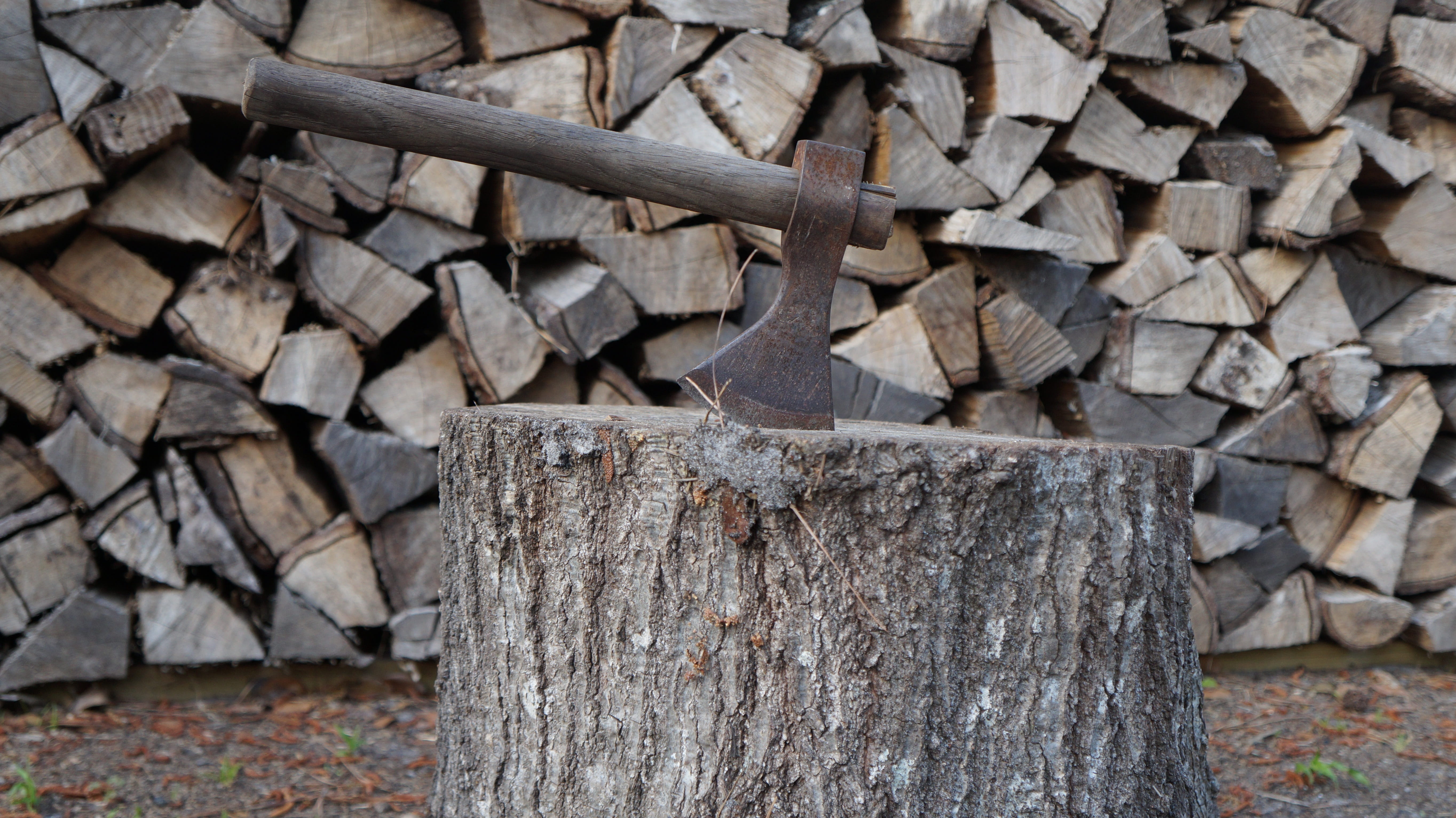 no people, tool, outdoors, industry, abundance, fossil fuel, wood - material, stack, cutting, tree, forest, ax, day, wood, lumberjack, axe, 5K, log, chop, HD Wallpaper
