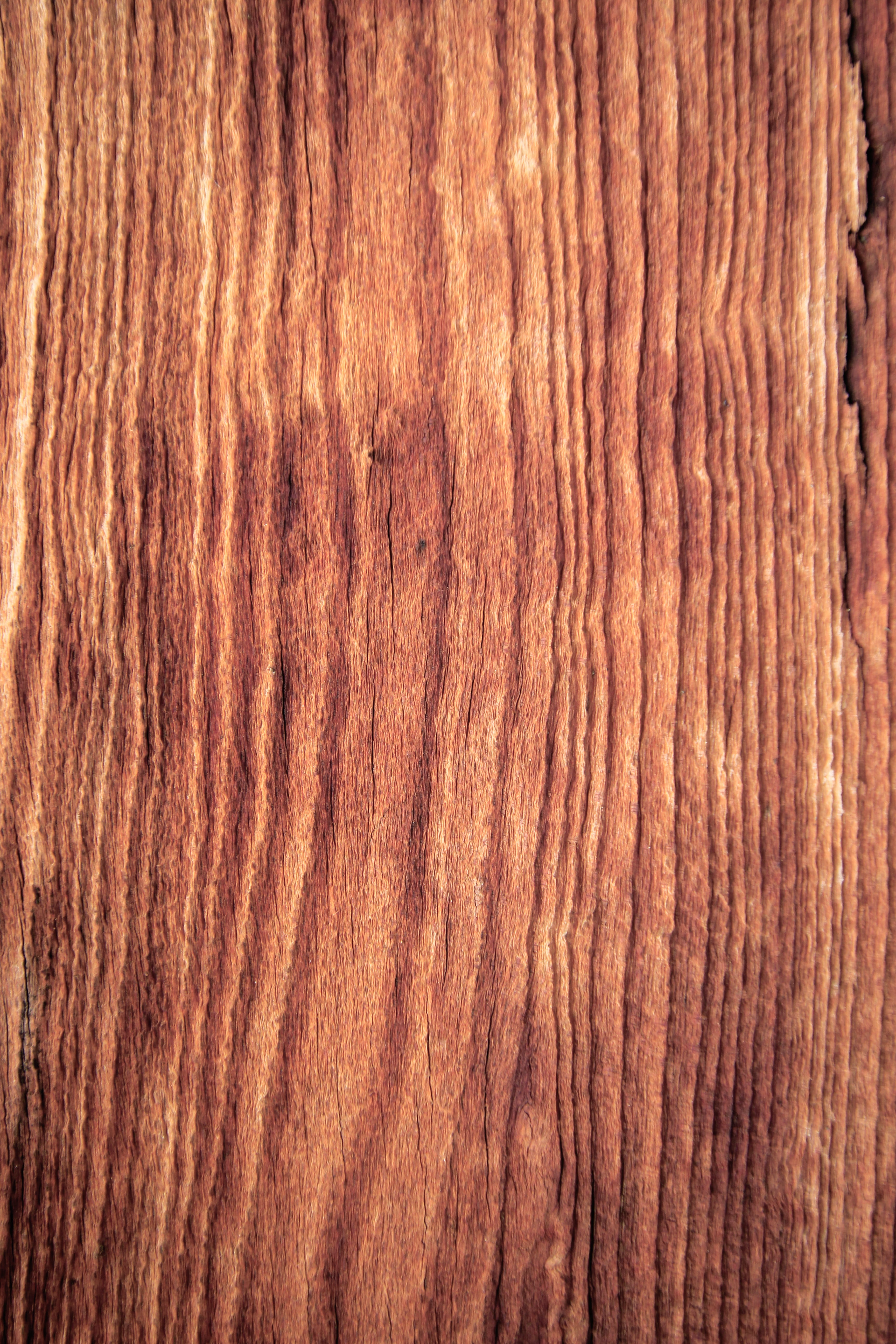 backgrounds, oak, wood, textured effect, nature, cherry, table, birch, serbia, tree, abstract backgrounds, wood - material, copy space, timber, texture, Phone HD Wallpaper