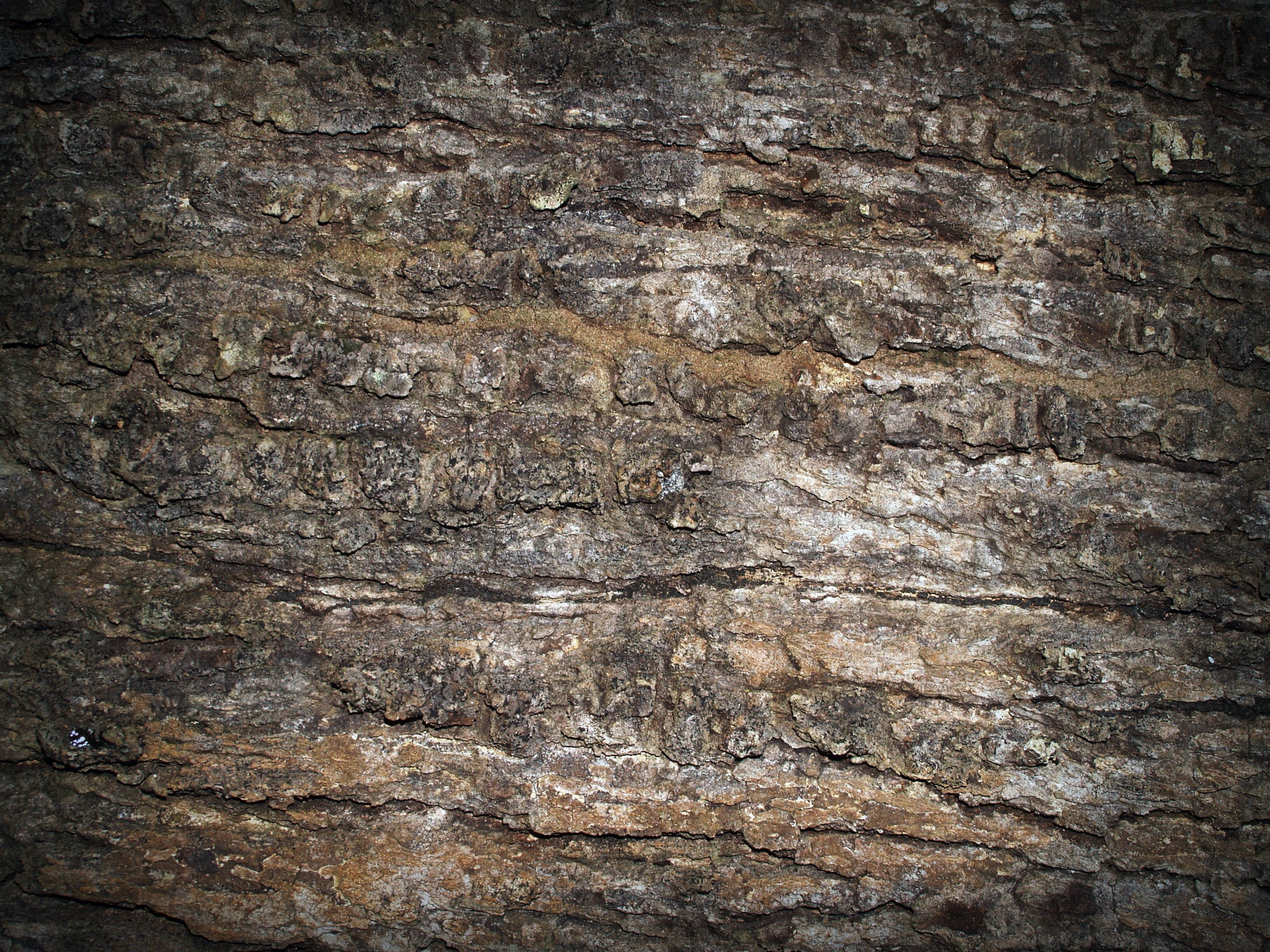 history, full frame, damaged, Pine, barn, stone wall, Background, pattern, woodwork, wooden, texture, textured, timber, corrosion, rough, macro, forest, HD Wallpaper