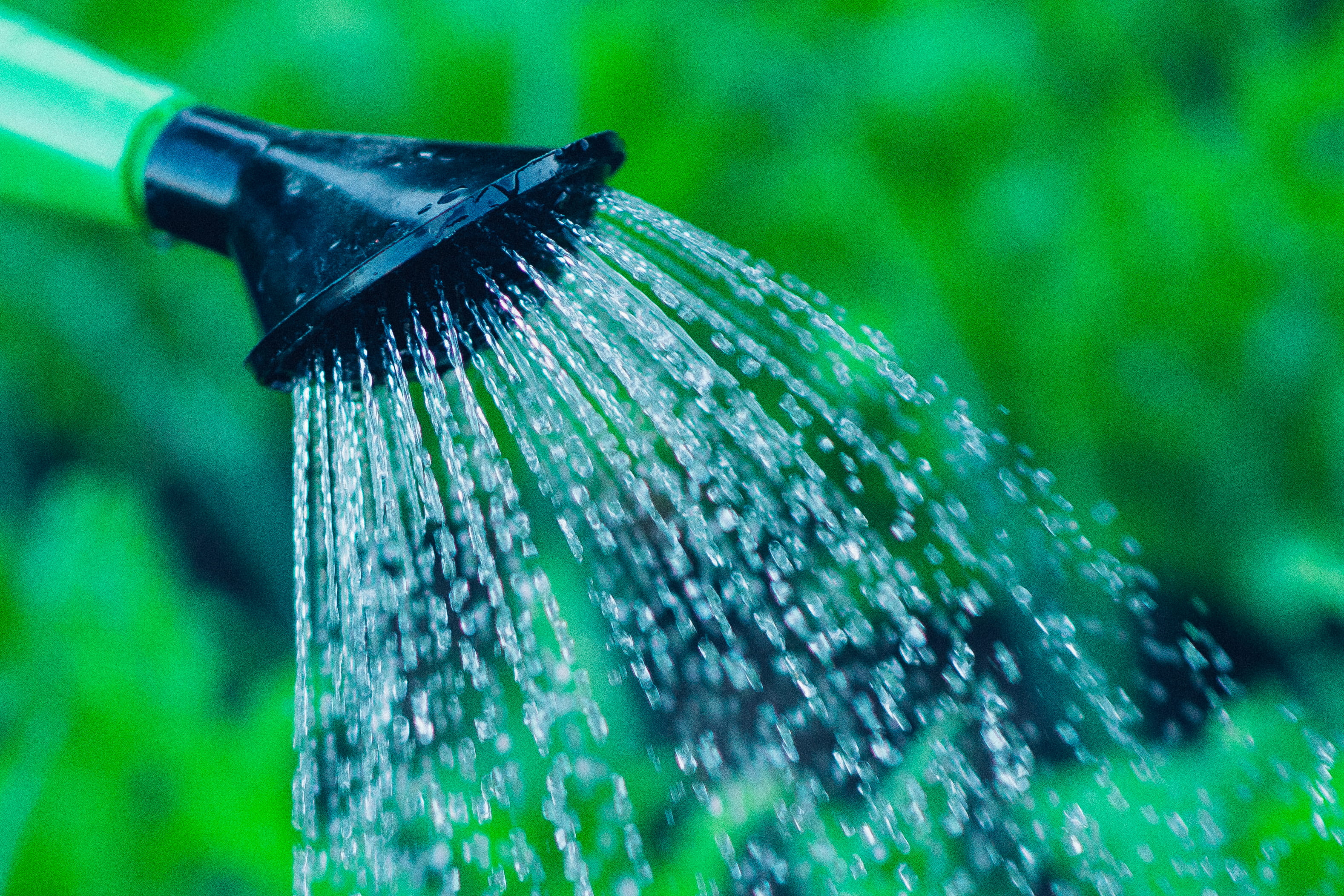 motion, nature, focus on foreground, outdoors, green, wet, cleaning, sprinkler, 2K, drop, gardening equipment, public domain images, drops of water, black, HD Wallpaper