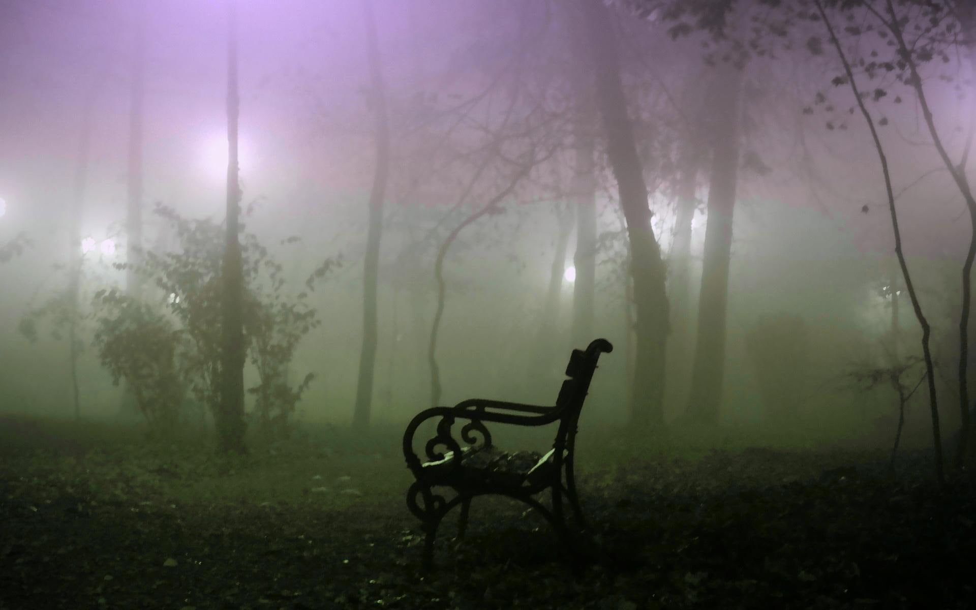 3d and abstract, trees, 1080P, evening, armed, mist, sit, misty, place, damask, black, bench, HD Wallpaper