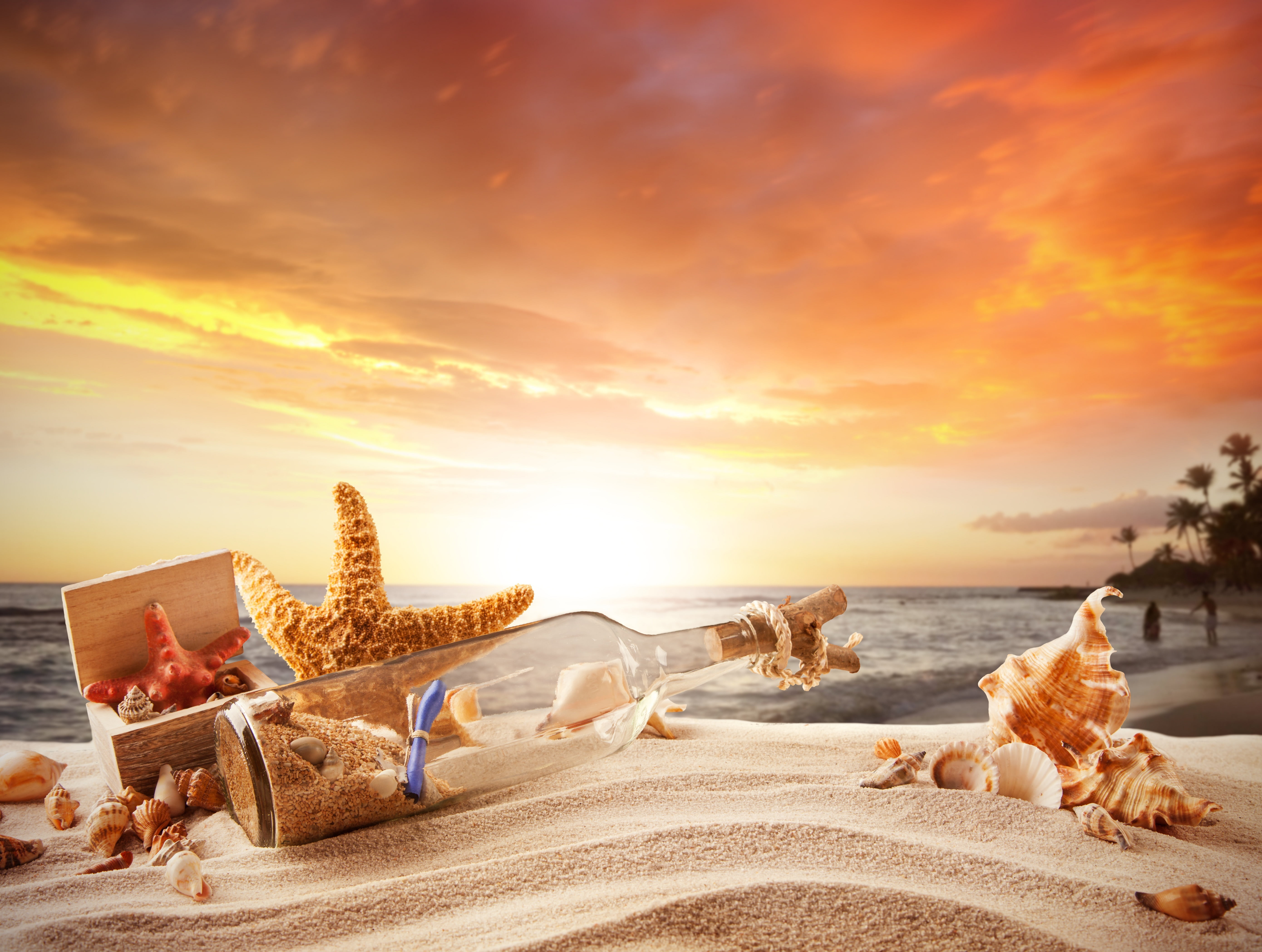idyllic, seashell, domestic animals, summer, copy Space, tranquil Scene, journey, beauty In Nature, brown, bottle, dog, wave, sand, land, one animal, seascape, HD Wallpaper