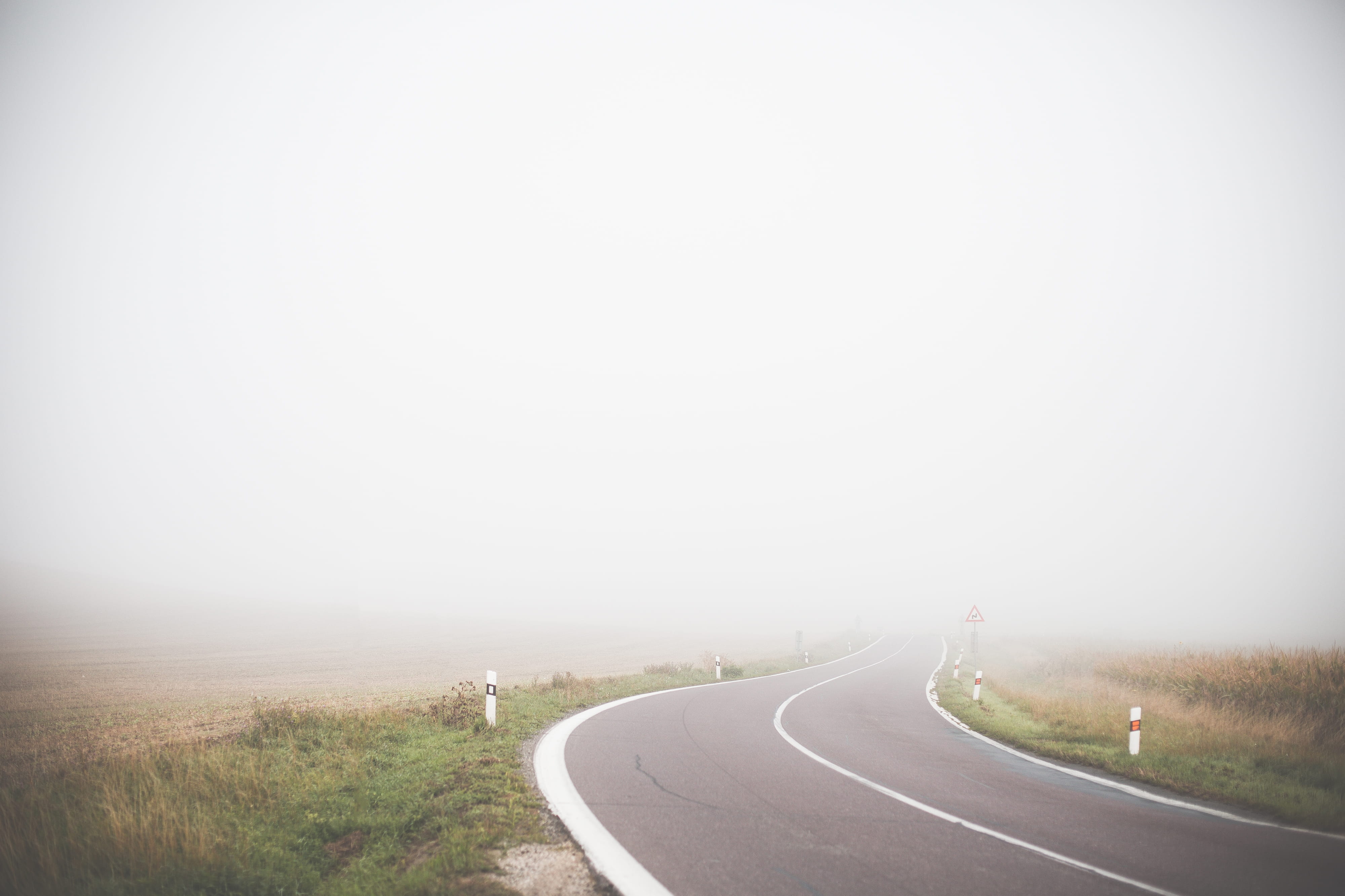 room for text, nature, tree, Road, road marking, 4K, traveling, country, sign, the way forward, scenics, diminishing perspective, transportation, curve, HD Wallpaper