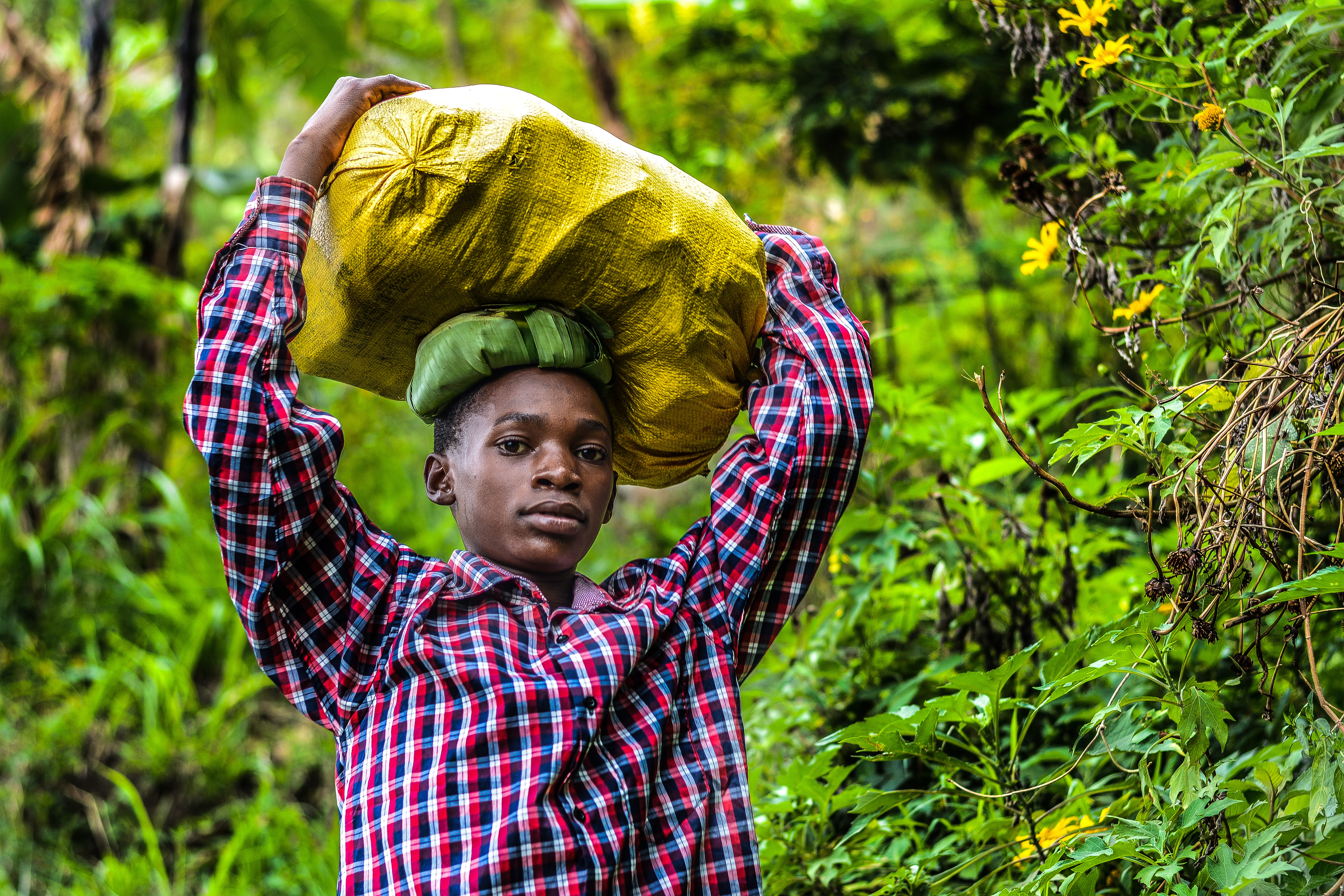 carry, working, land, portrait, men, person, man, wearing, young adult, one person, shirt, nature, wear, boy, adult, 5K, plaid, agriculture, real people, HD Wallpaper