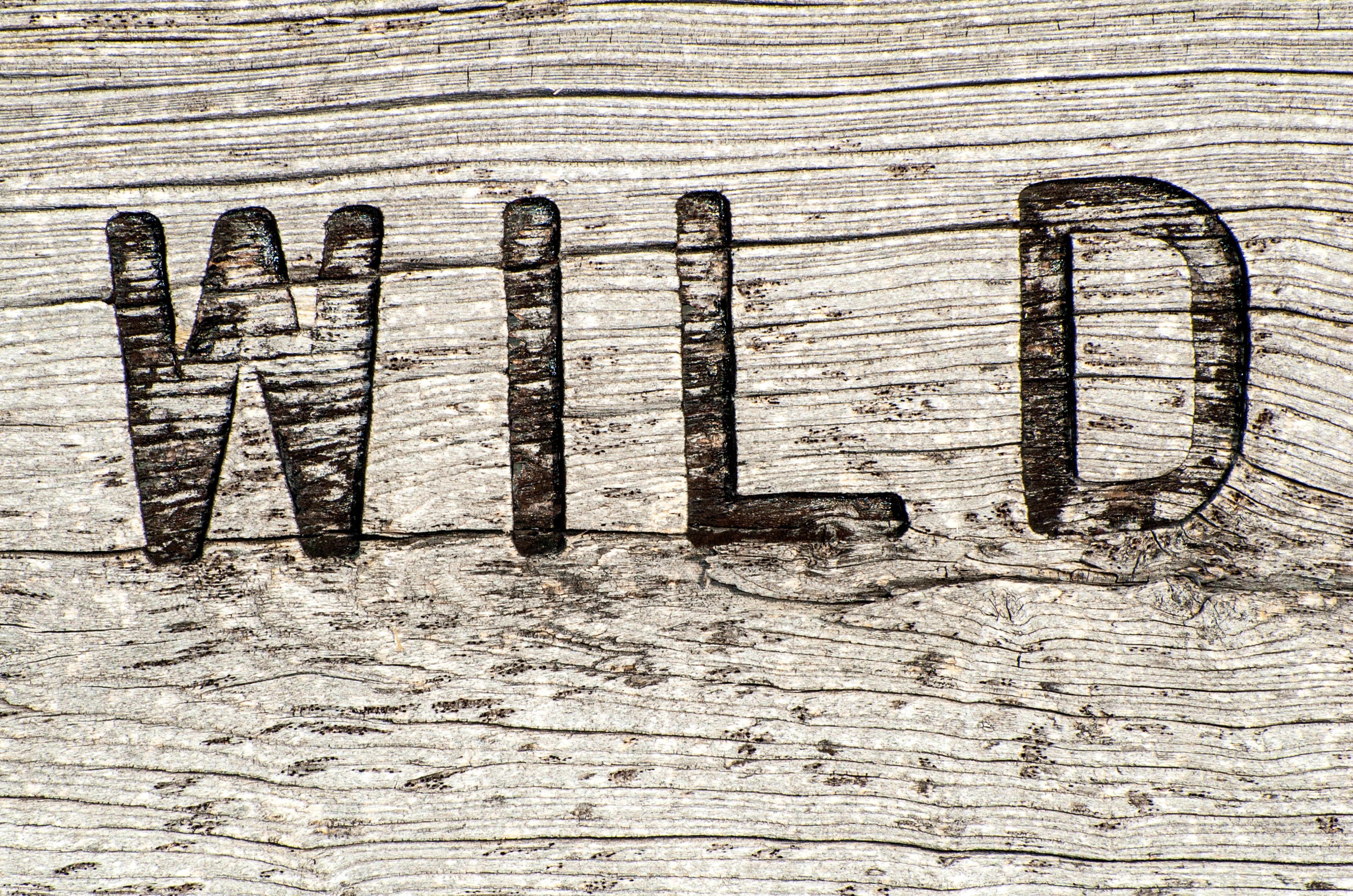 western script, indoors, capital letter, old, wood, nature, embossed, wooden, sign, wild, symbol, board, backgrounds, decor, textured effect, wooden sign, HD Wallpaper