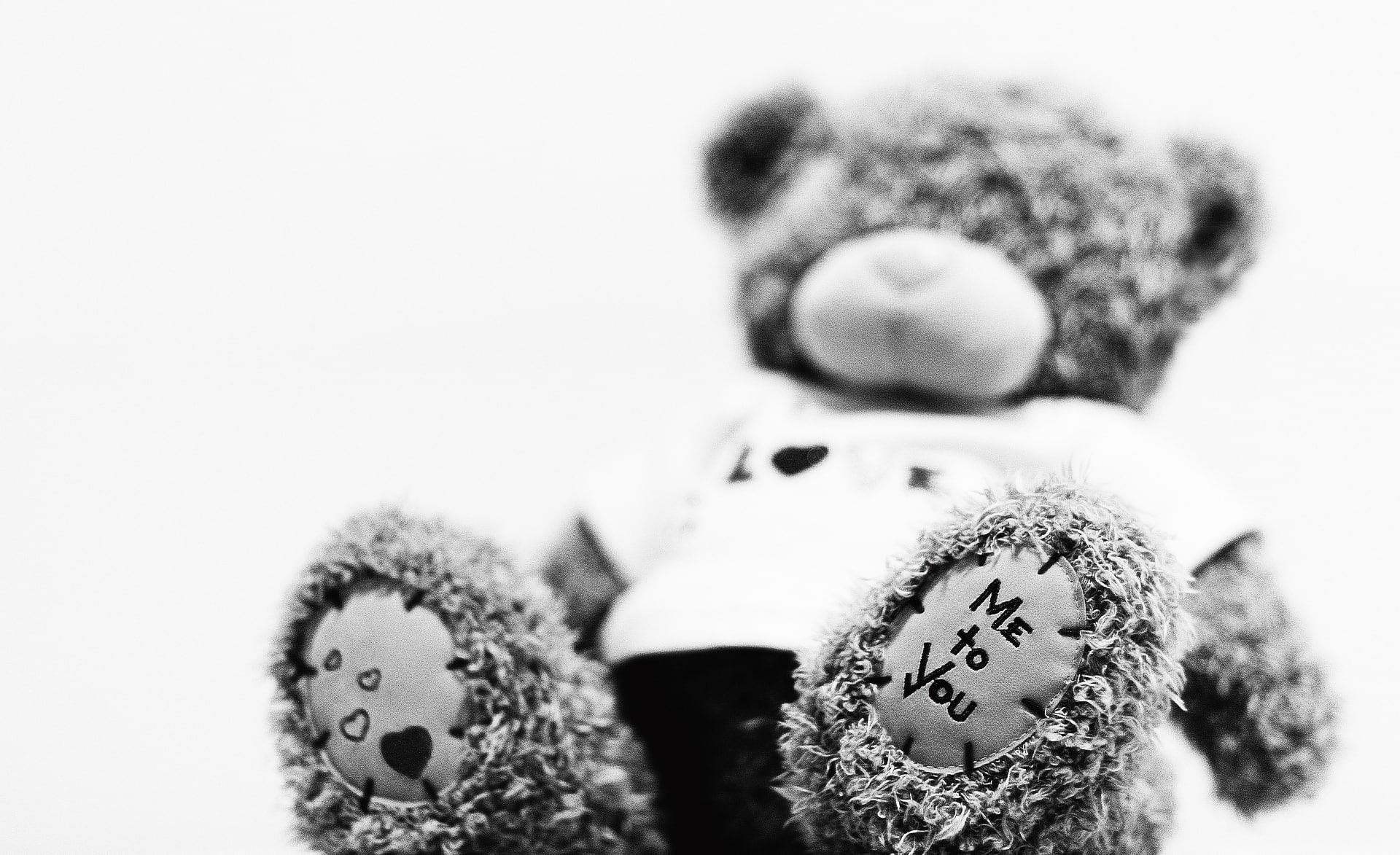 art and craft, softness, Bear, teddy bear, no people, human representation, creativity, focus on foreground, text, body part, studio shot, me to you, white background, HD Wallpaper