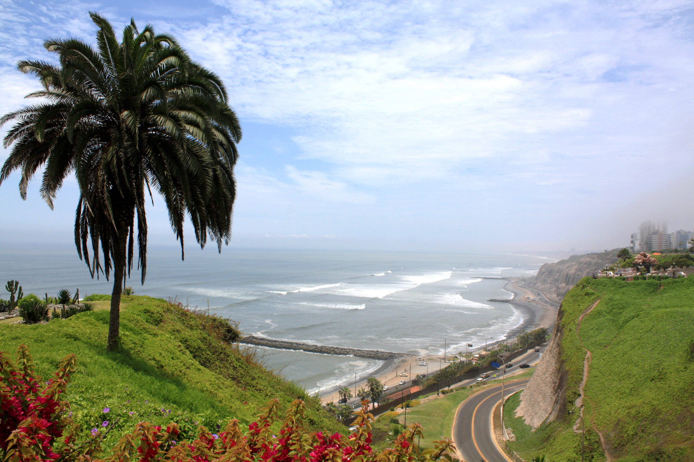 Pacific  Ocean, palm, palm tree, aerial photo, 1080P, Miraflores, beach, coastline, tree, Lima  Peru, Latin  America, photo, aerial, road, sea, HD Wallpaper