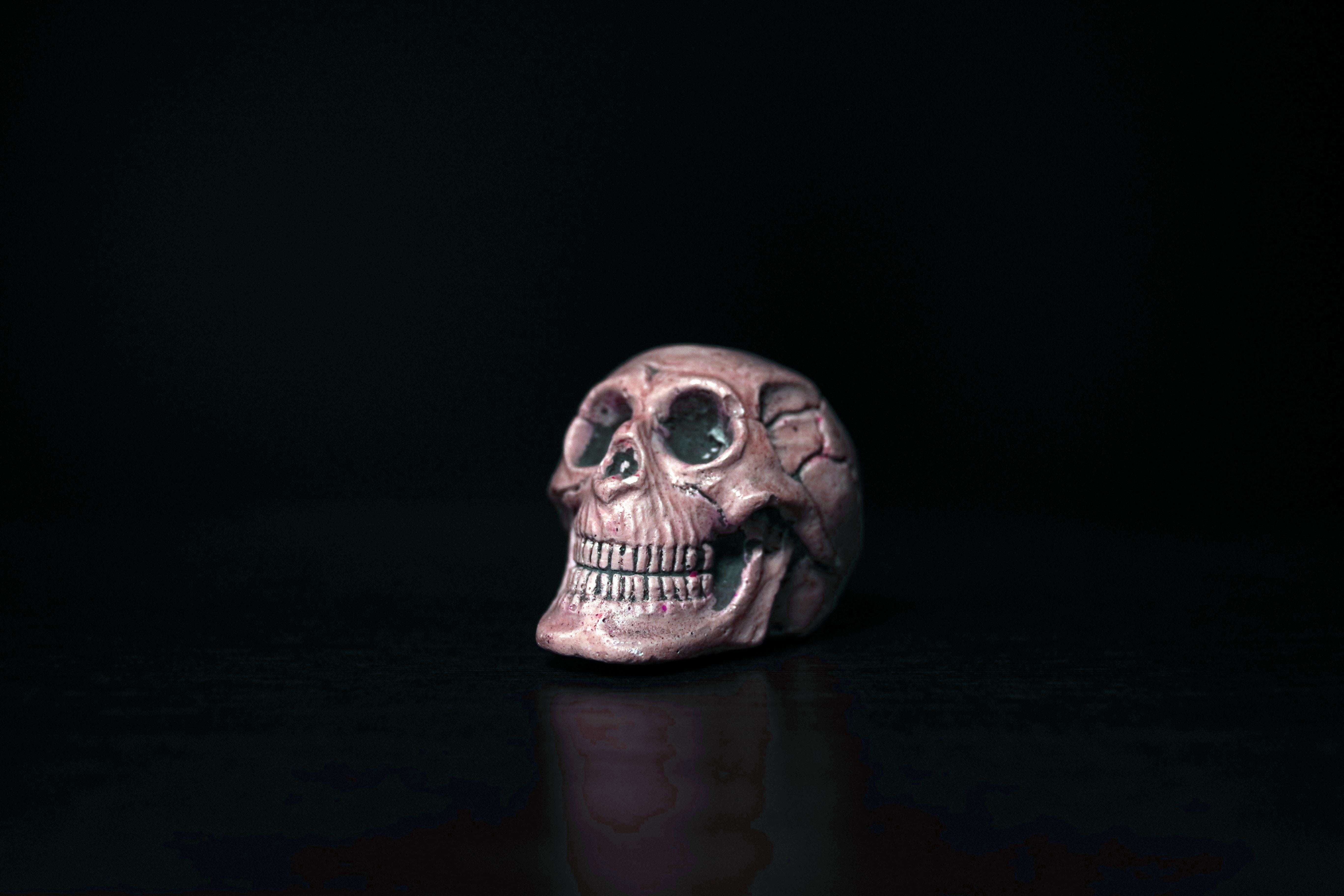 terrible, humor, animal eye, fun, gadget, the fear, emotion, studio shot, single object, paperweight, 5K, animal themes, black background, halloween, fear, HD Wallpaper