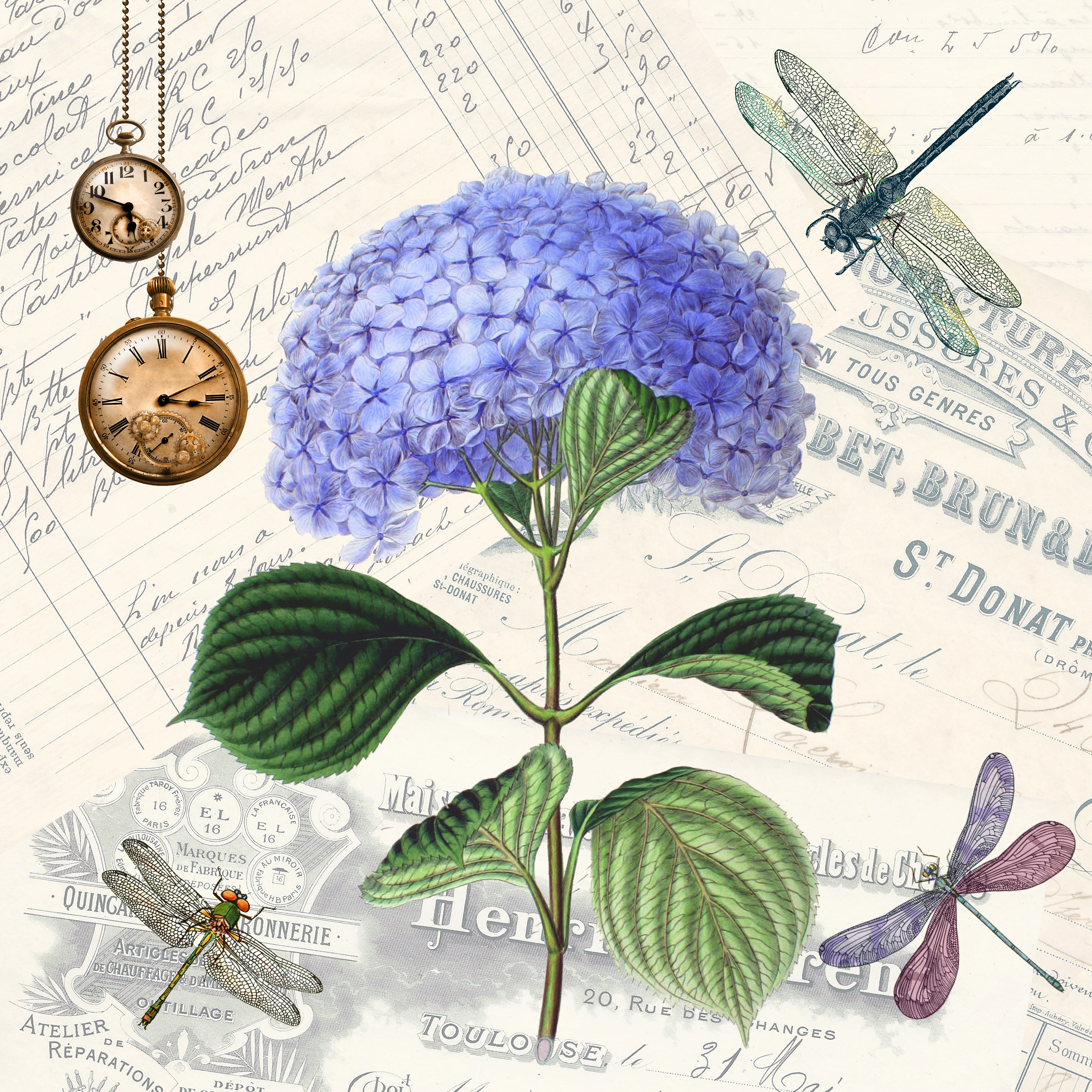 nature, bloom, flower head, plant, inflorescence, dragonflies, decorative, blue, vulnerability, nostalgia, close-up, herb, paper, fragility, indoors, hydrangea, Phone HD Wallpaper
