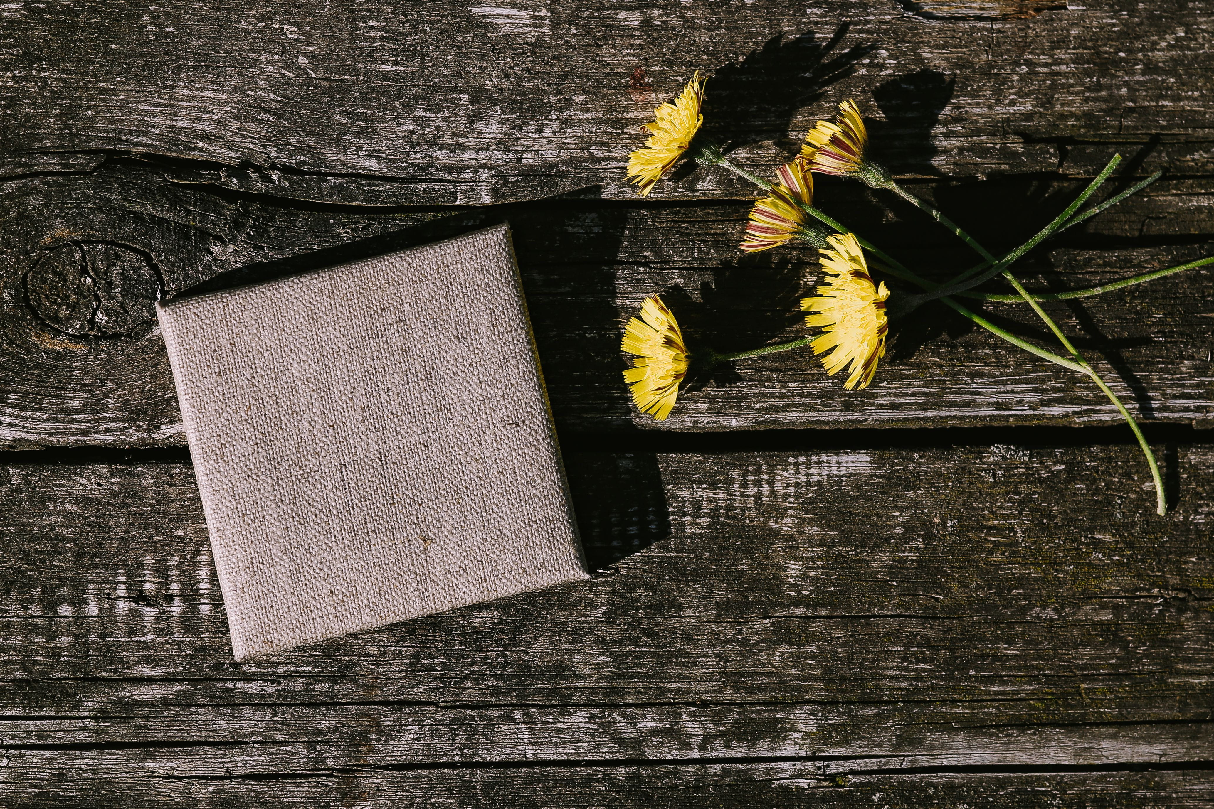 close-up, wood - Material, mockup, indoors, copy space, leaf, open space, 4K, day, plank, flower, wooden, pencils, flowers, things, no people, directly above, HD Wallpaper