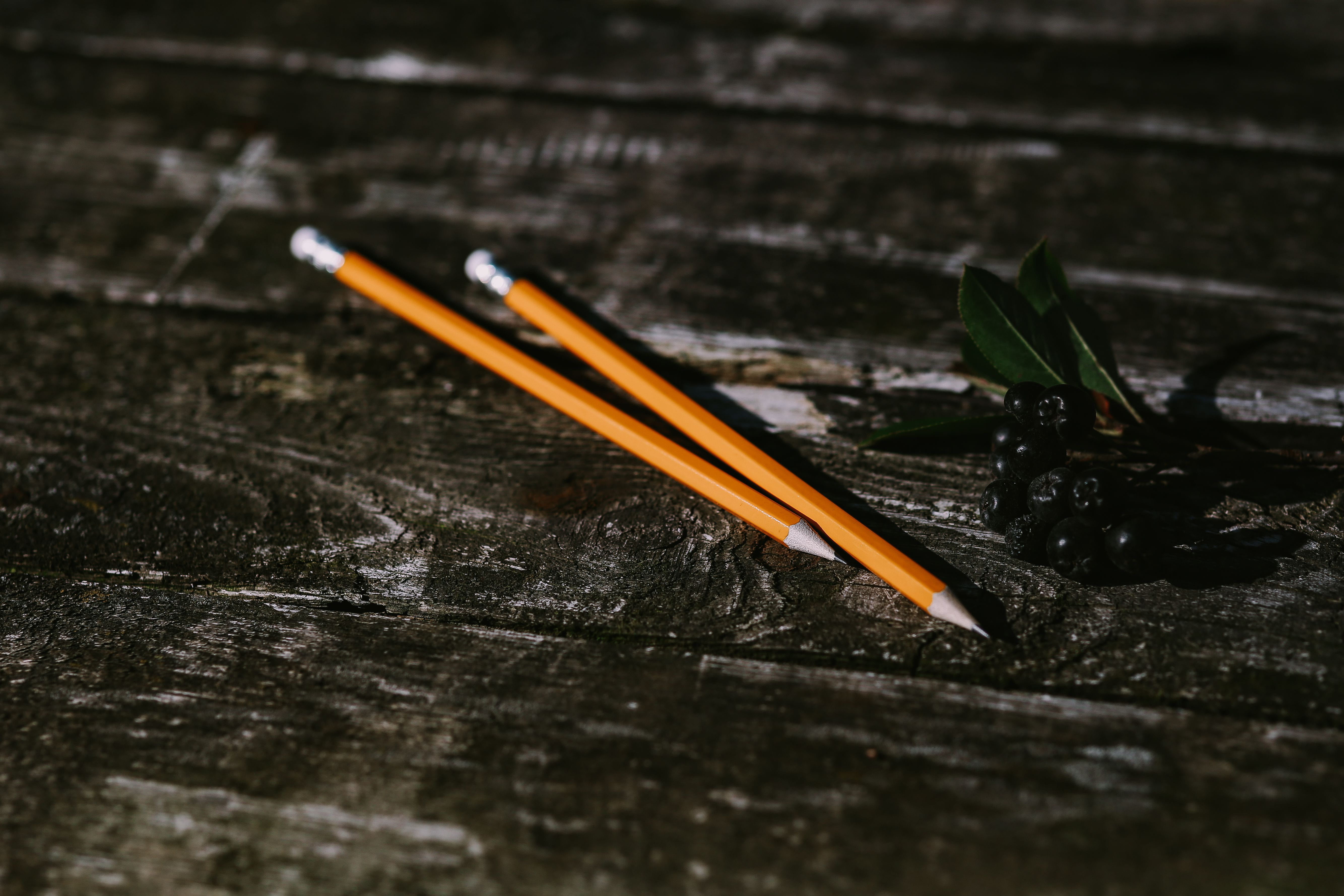 flowers, focus on foreground, nature, wood, selective focus, canvas, pencil, Small, things, writing instrument, day, orange color, wooden, open space, copy space, HD Wallpaper