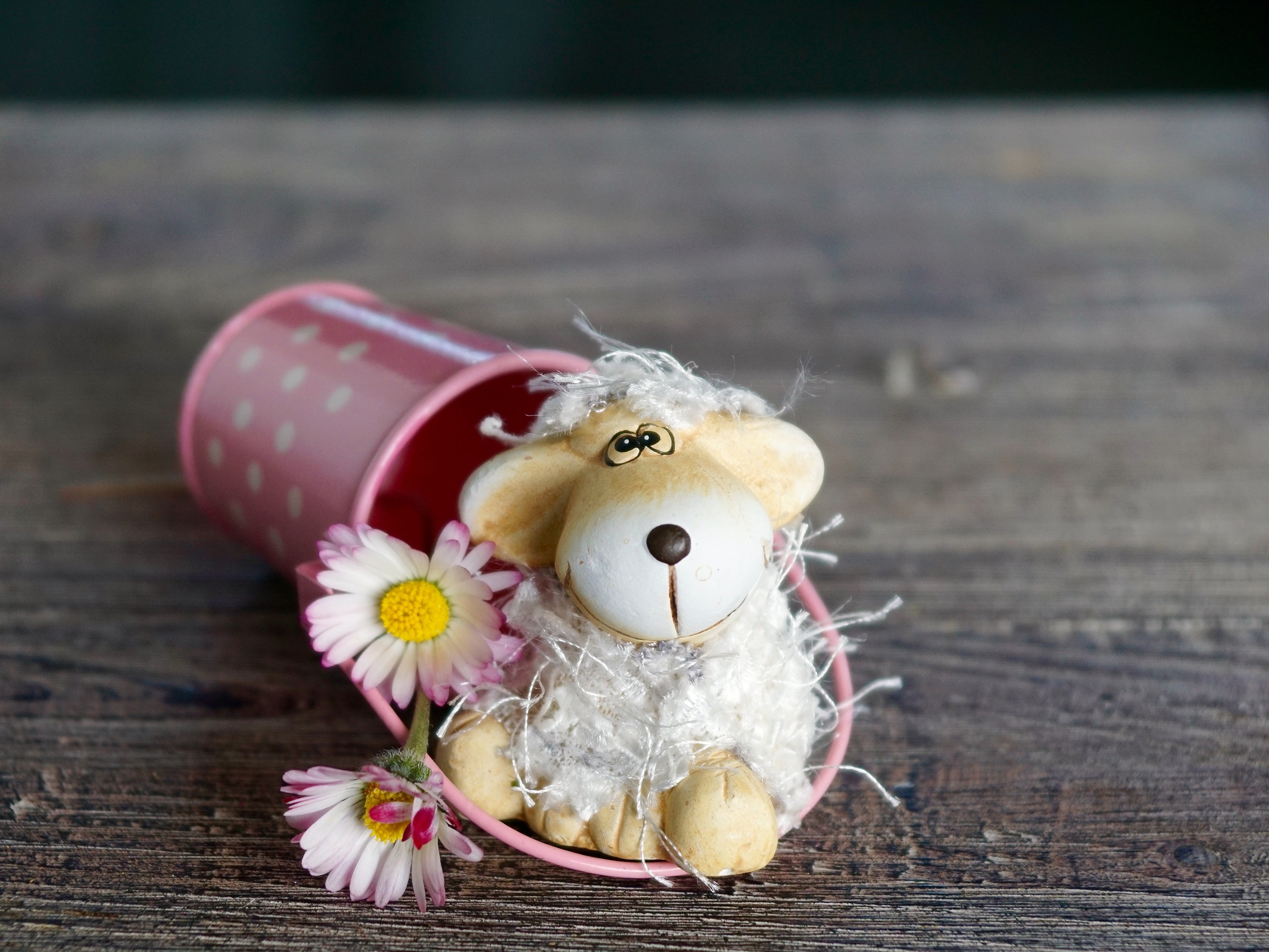doll, lust for life, lamb, pink color, close, stuffed toy, emotion, indoors, mood, thank you, spring, thank you card, no people, close-up, nature, thank you very much, HD Wallpaper