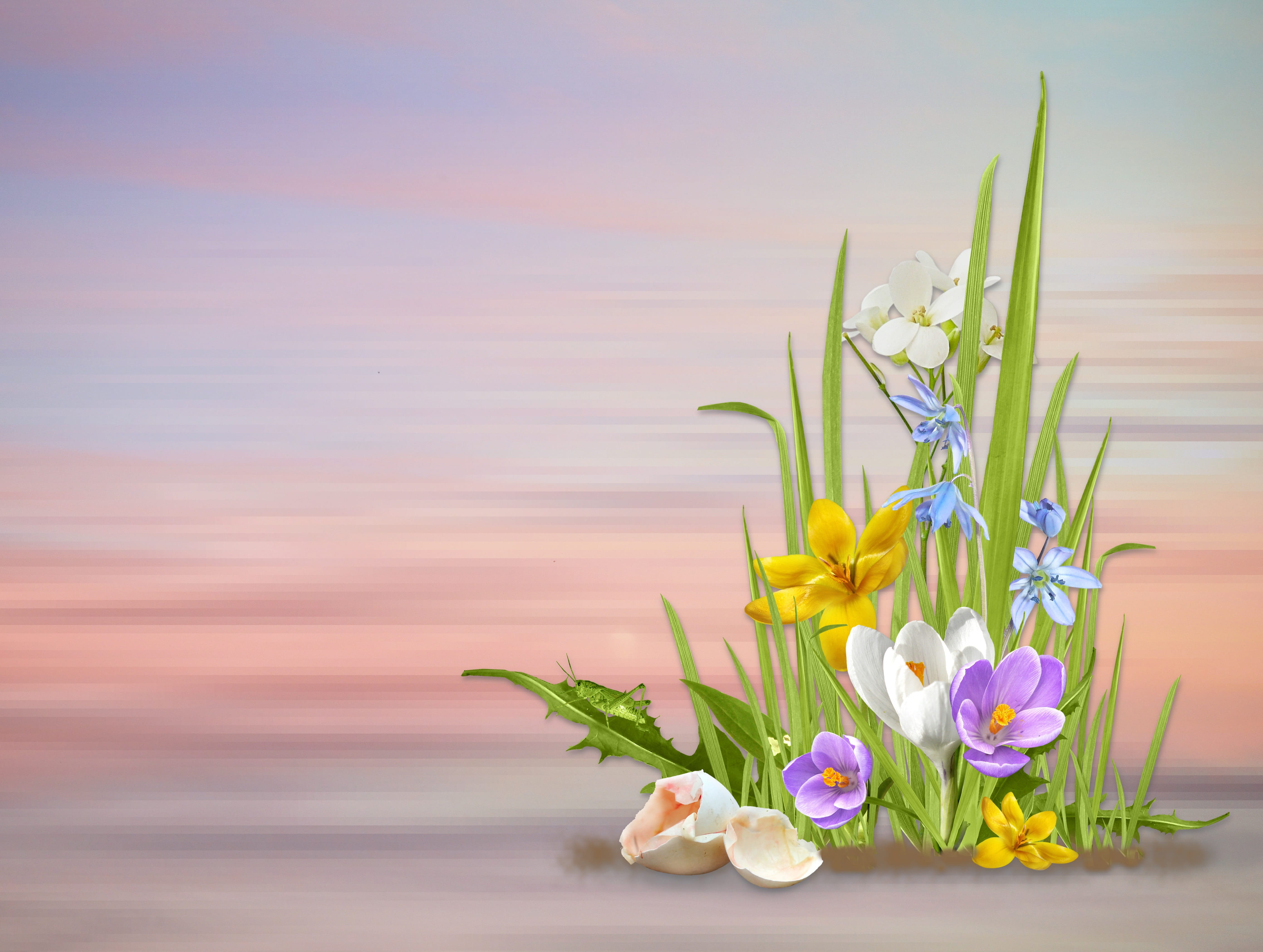easter, inflorescence, assorted, nature, narcissus, bright, flower head, blossom, violet, vulnerability, bloom, fragility, colorful, plant part, bouquet, HD Wallpaper