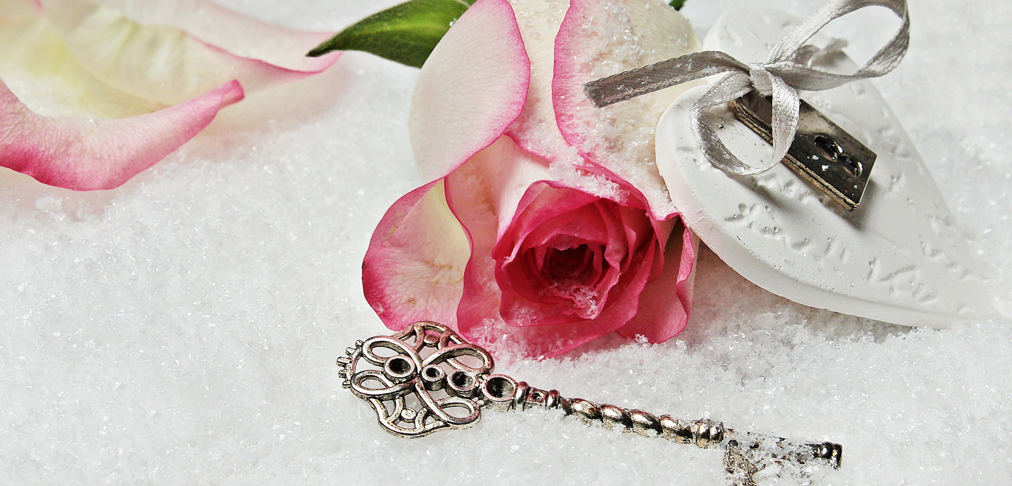 background image, flowering plant, valentines day, blossom, key to love, symbol, close-up, no people, jewelry, romantic, 4K, wealth, studio shot, herzchen, HD Wallpaper