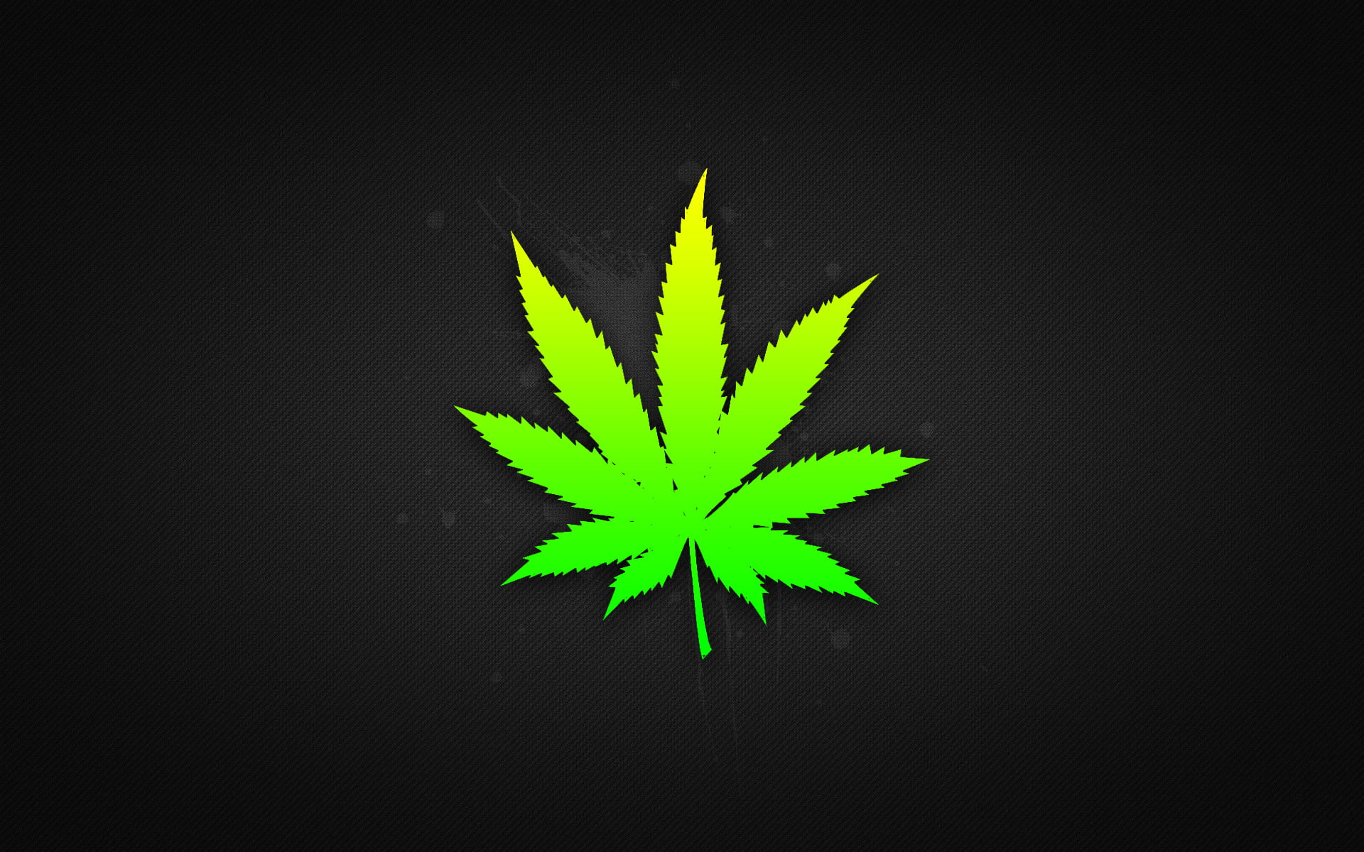 growth, night, cannabis - Narcotic, studio shot, plant, white, illustration, black Color, black background, hemp, nature, high angle view, weed, organic, HD Wallpaper