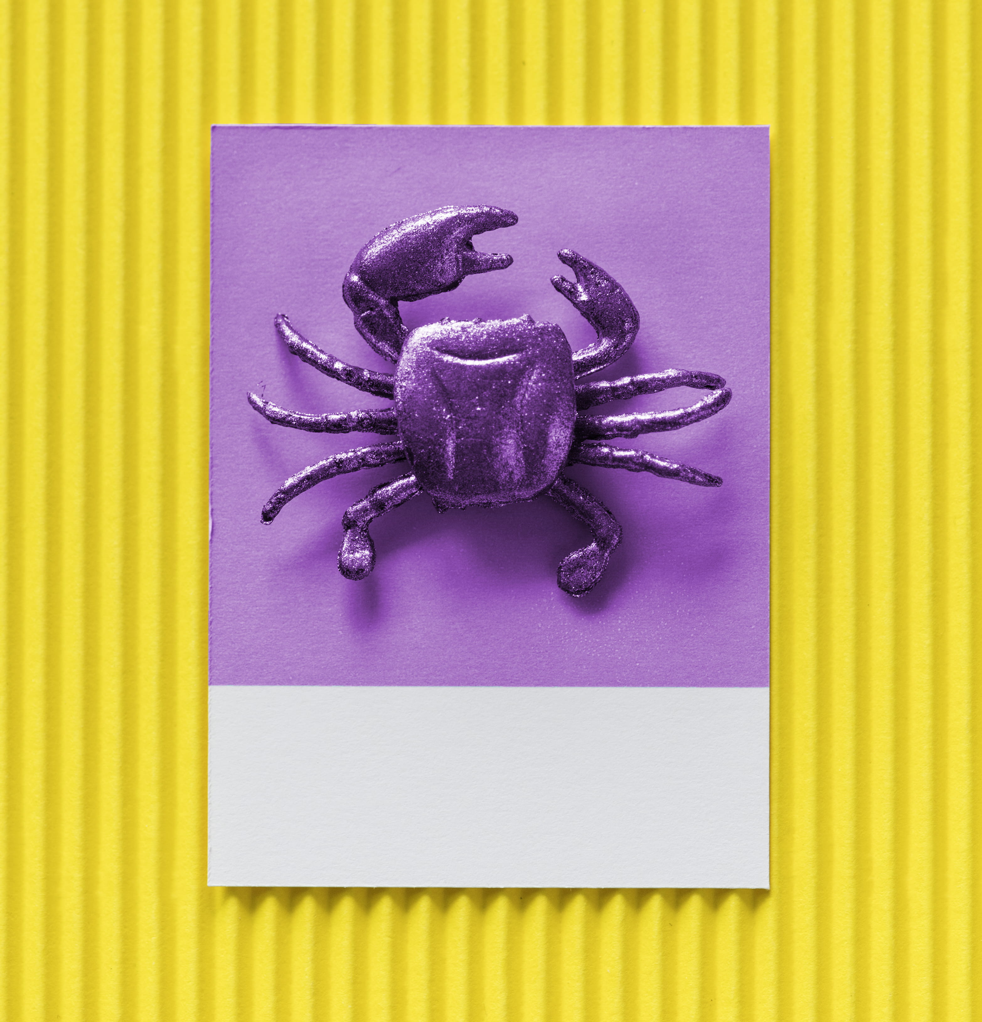 close-up, purple, fun, indoors, striped, creative, food and drink, toy, healthy eating, model, table, little, textured, 2K, mini, figure, play, crab, seafood, Phone HD Wallpaper