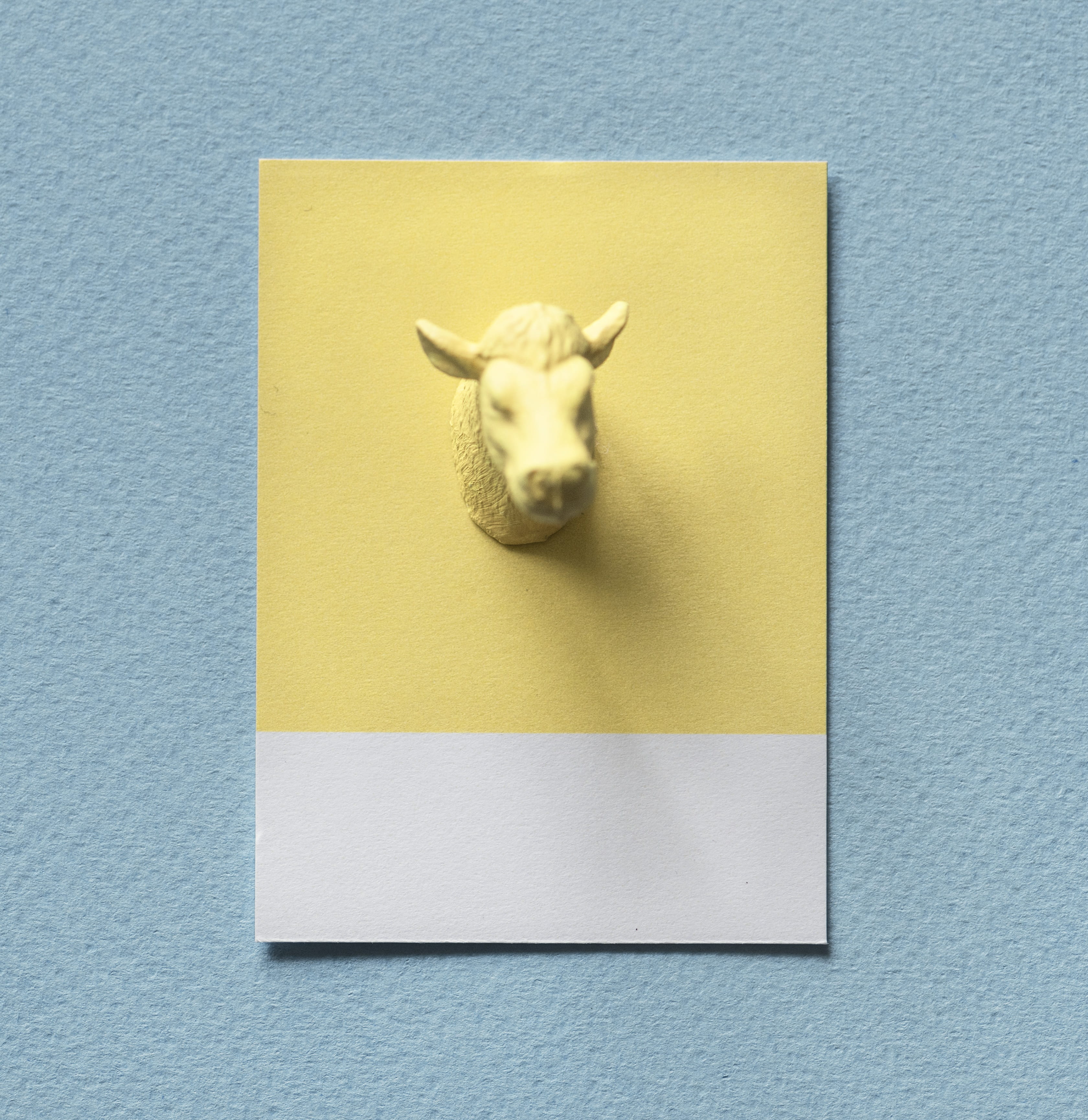 blue background, domestic, figure, representation, art and craft, vertebrate, pets, ox, no people, indoors, mammal, one animal, animal wildlife, domestic animals, Phone HD Wallpaper
