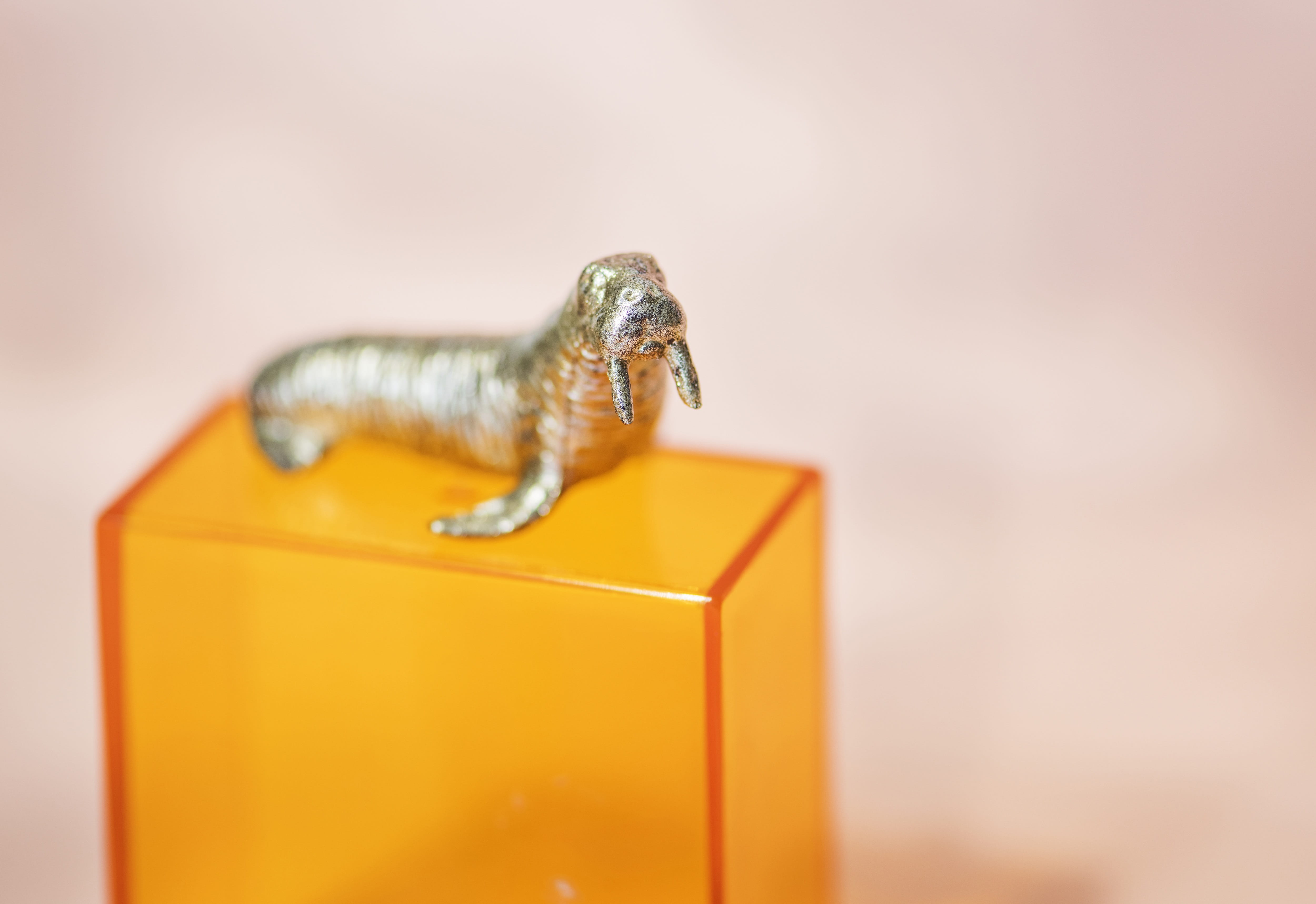 representation, studio shot, cube, decoration, orange, 4K, concept, animals in the wild, single object, background, no people, one animal, copy space, HD Wallpaper