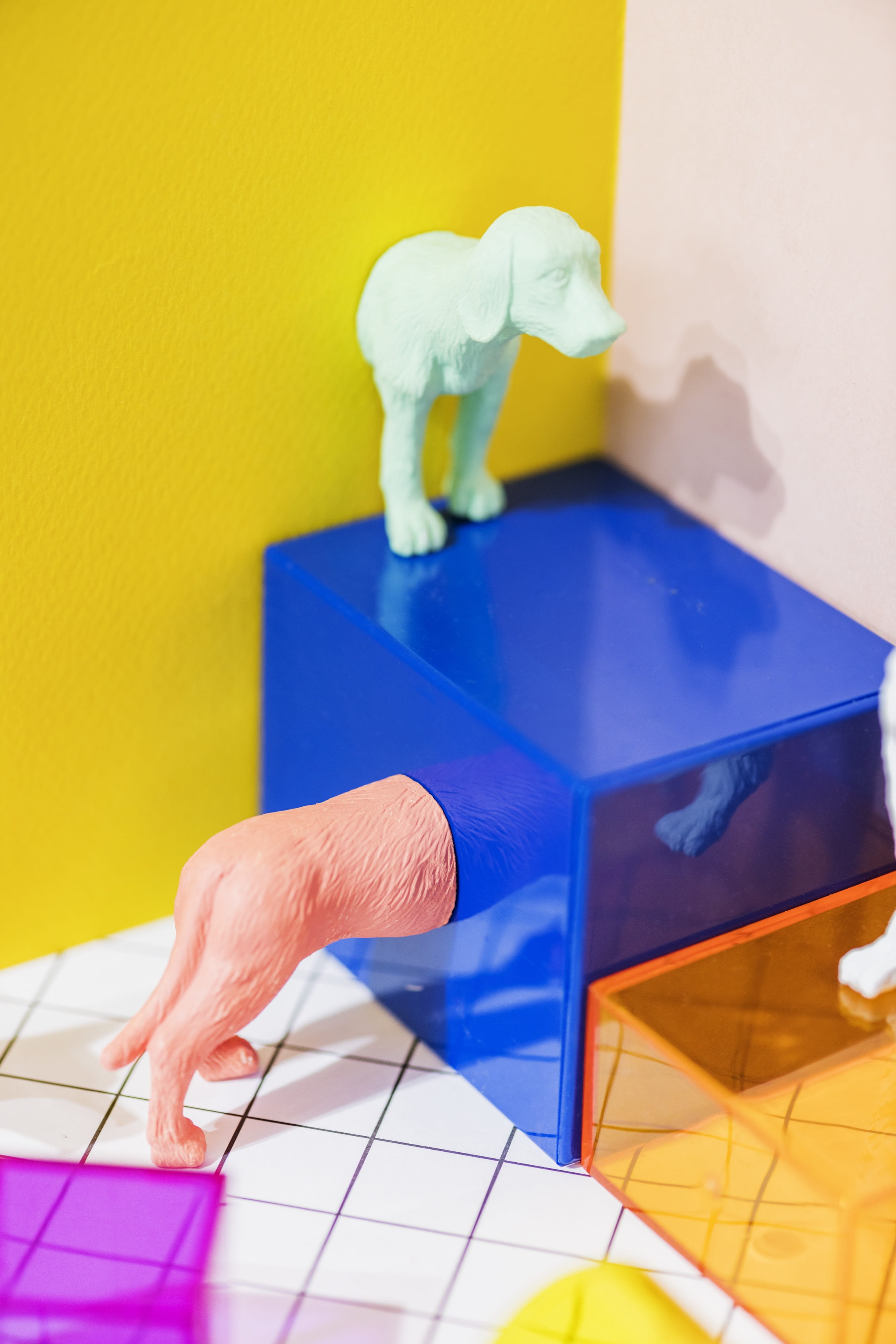 pop, small, plastic, representation, wall - building feature, background, miniature, colorful, human hand, pattern, human body part, canine, dog, pet, little, Phone HD Wallpaper