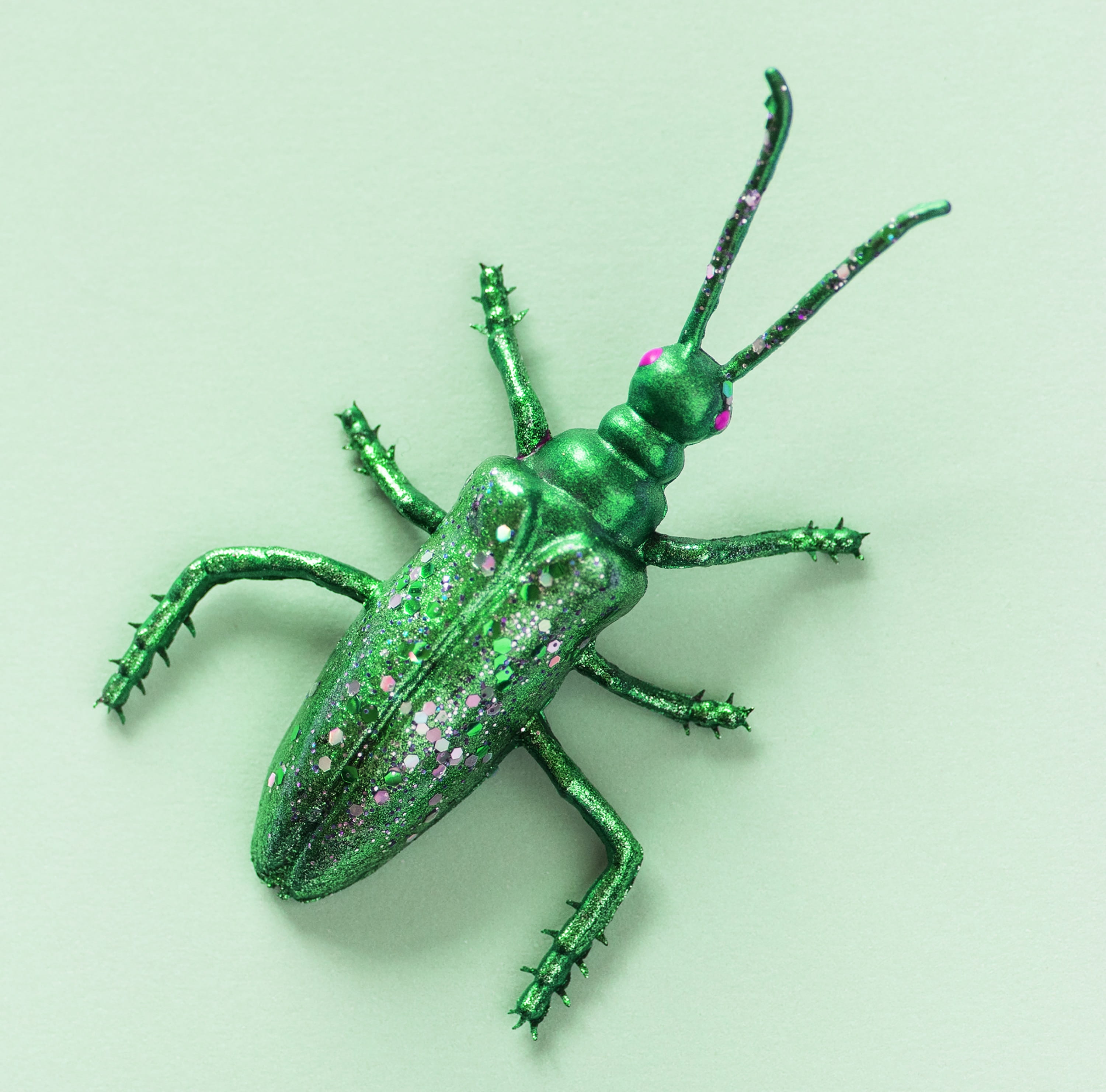 colorful, sparkling, directly above, sparkle, glowing, background, cut out, animal, fun, shimmer, beetle, green, shiny, craft, little, wildlife, textured, HD Wallpaper