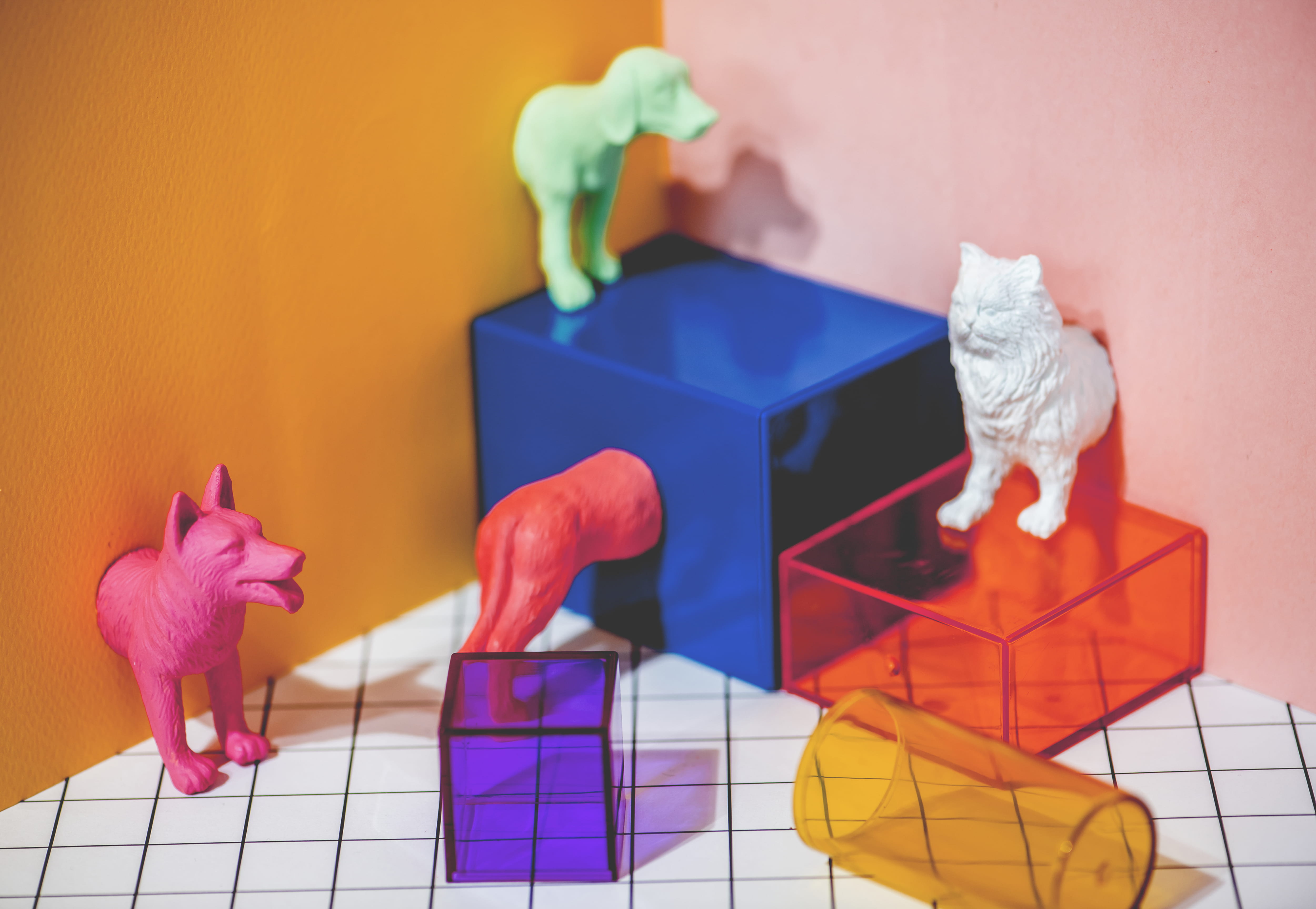colorful, domestic room, design, boxes, cubes, dog, orange, case, domestic animals, animal themes, pink background, figures, representation, tiled floor, HD Wallpaper
