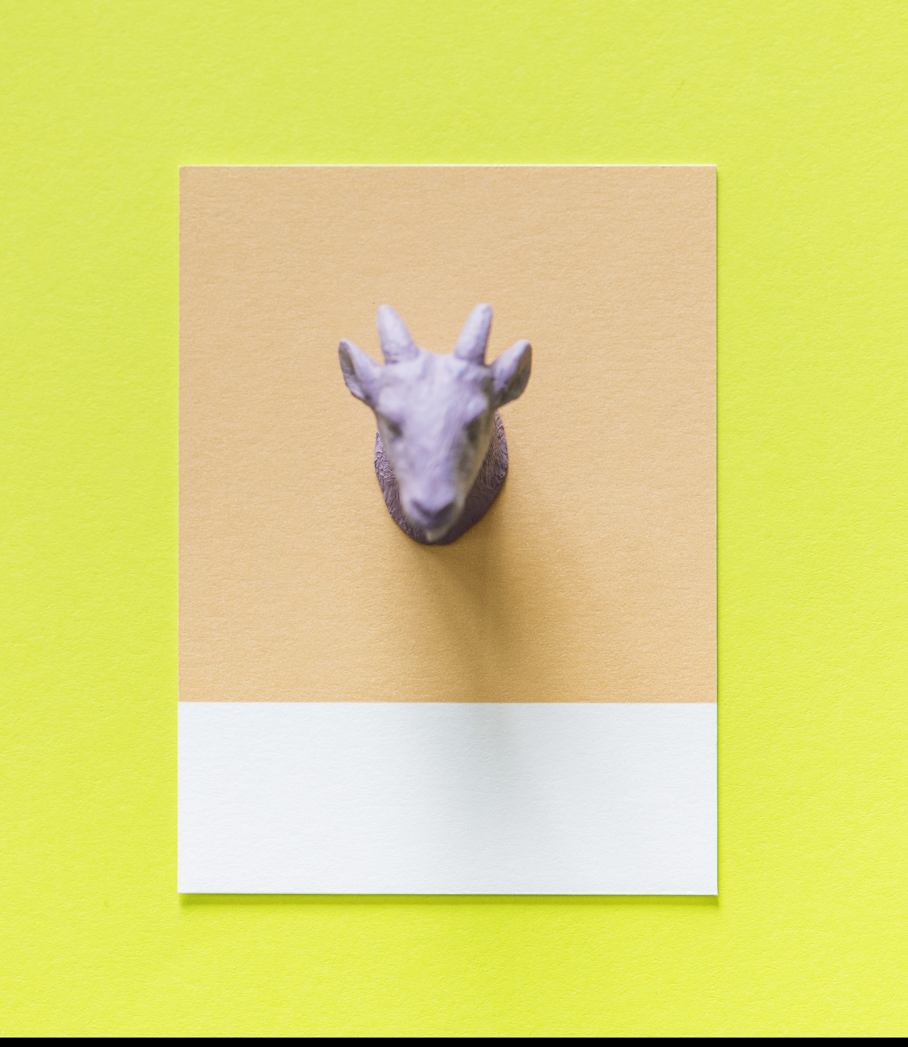 mammal, one animal, goat, figure, creative, small, cardboard, colorful, animal representation, concept, animal head, 2K, fun, shape, card, yellow, symbol, Phone HD Wallpaper