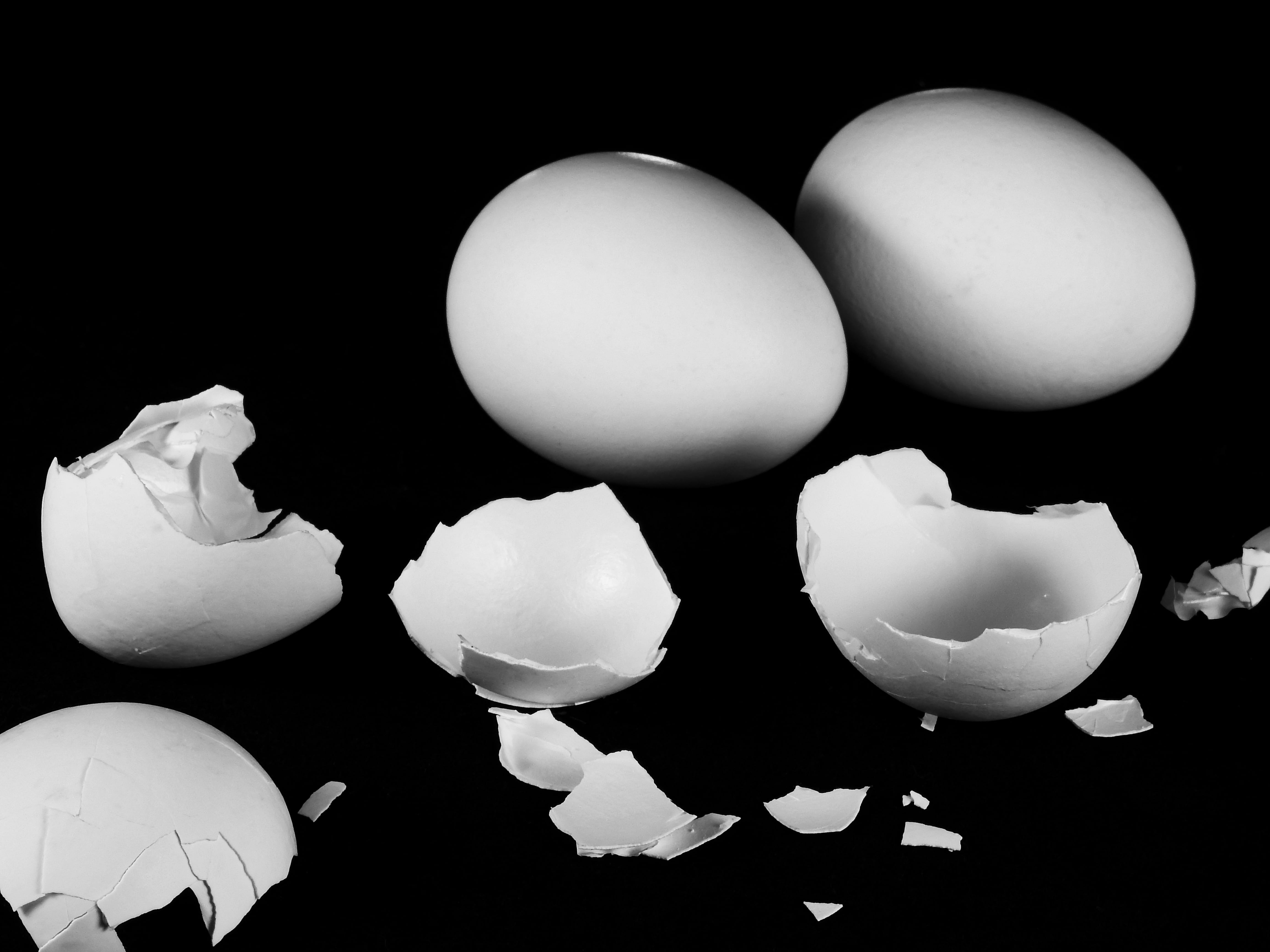 vulnerability, dine, fragile, chicken, indoors, vegetarian, eggshell, group of objects, fragility, no people, white color, wellbeing, two, shell, food and drink, HD Wallpaper