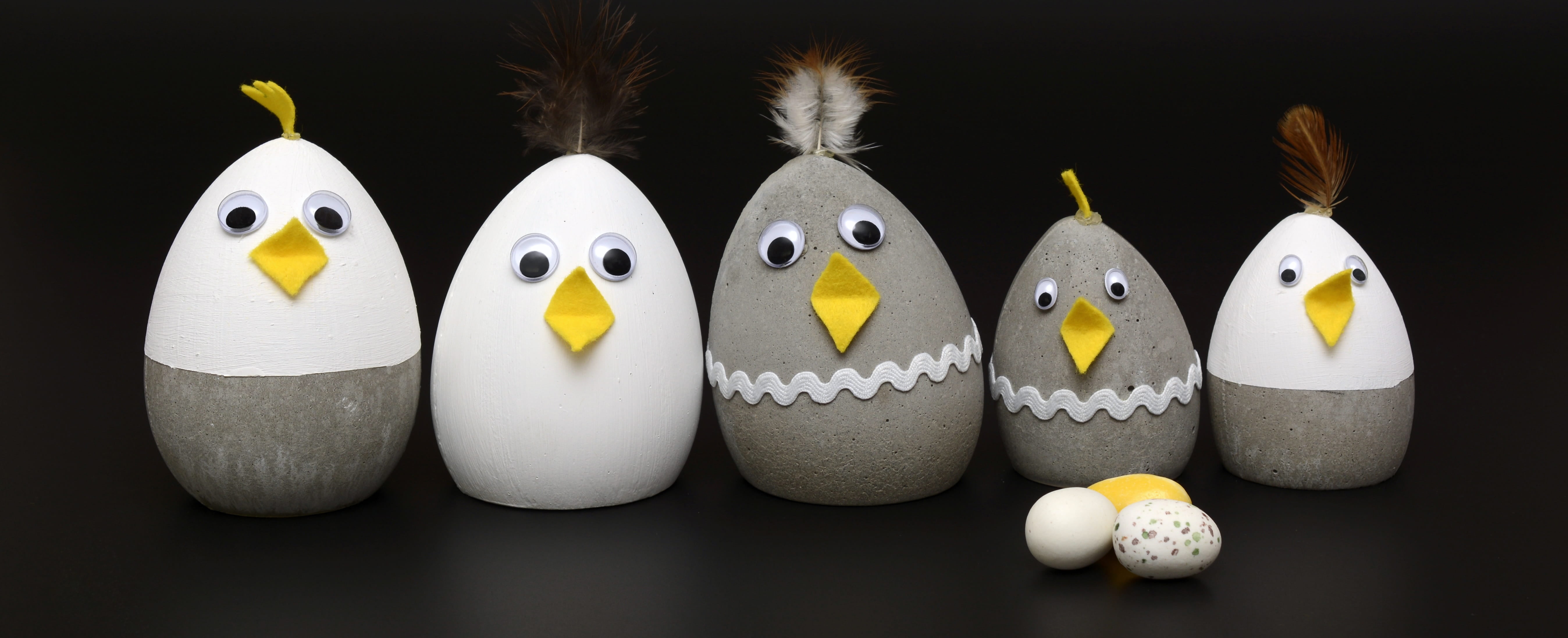 bird, food and drink, banner, studio shot, decors, grey and white, animal, concrete, celebration, five, fun, head image, in a row, black background, day, HD Wallpaper