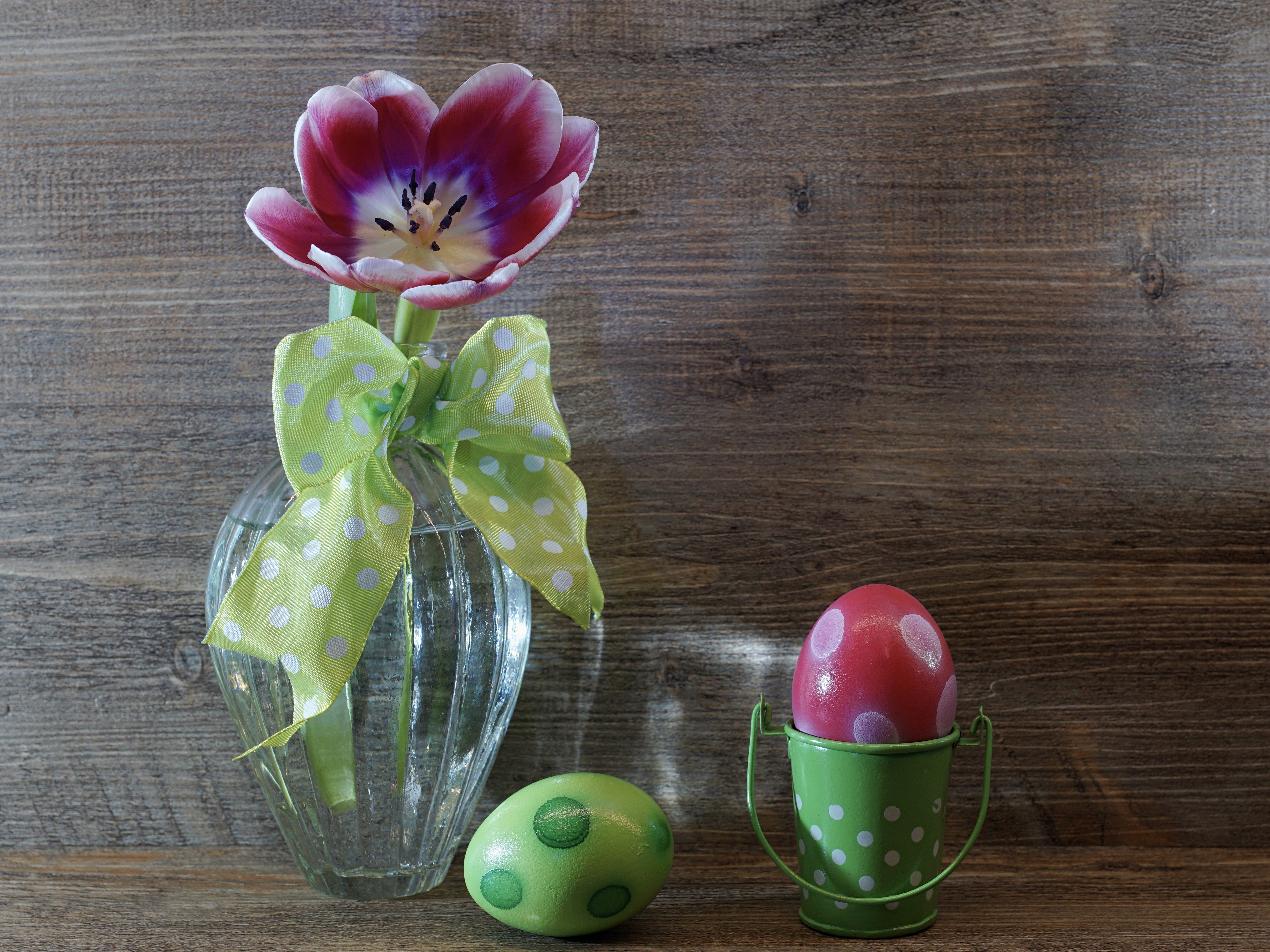 plant, text dom, green color, decoration, 5K, vase, spring flowers, freshness, easter decorations, mood, still life, nature, pink color, easter greetings, HD Wallpaper