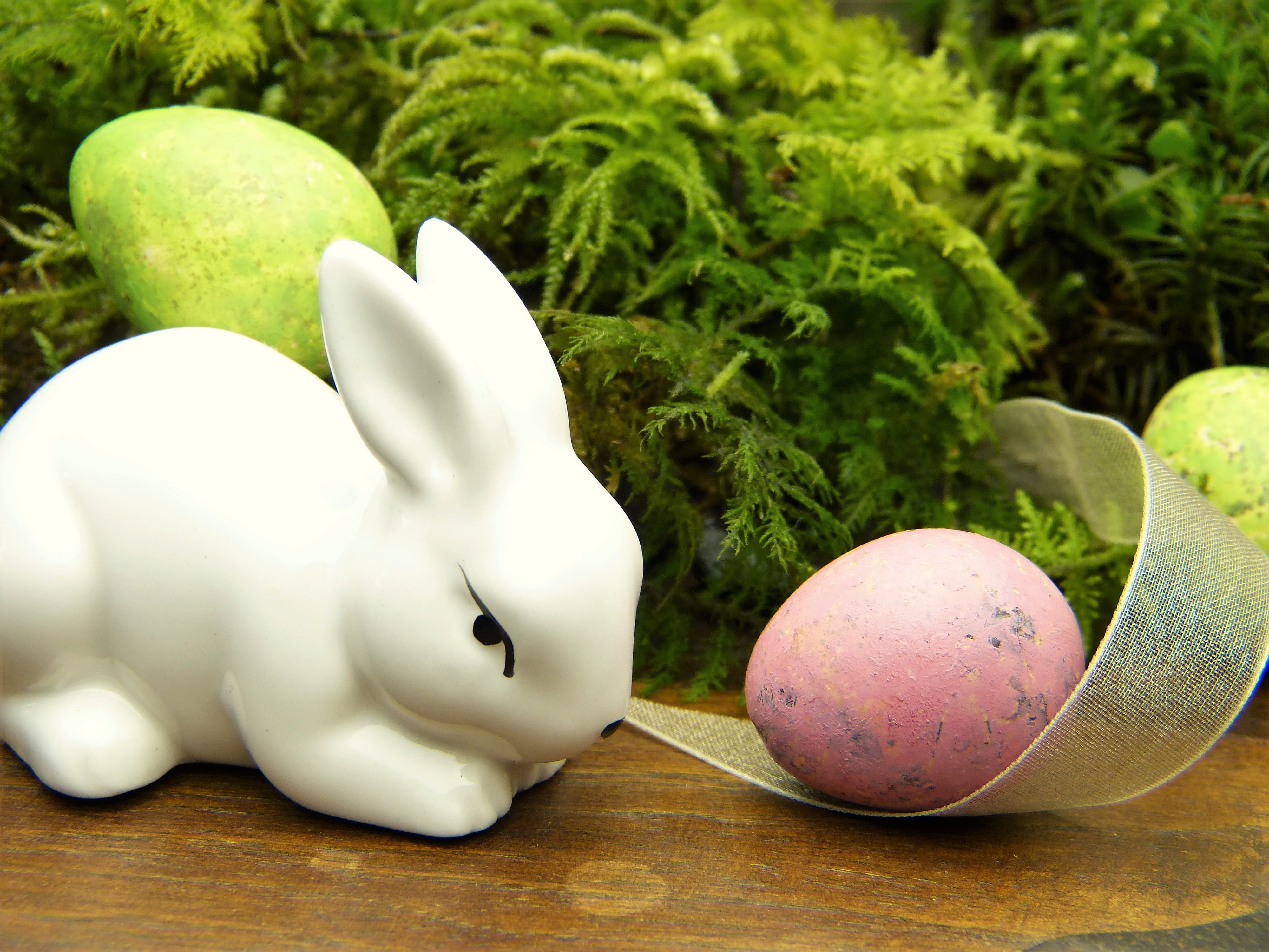 easter eggs, savings, indoors, representation, deco, easter decoration, happy easter, piggy bank, easter, moss, investment, no people, easter bunny, focus on foreground, HD Wallpaper