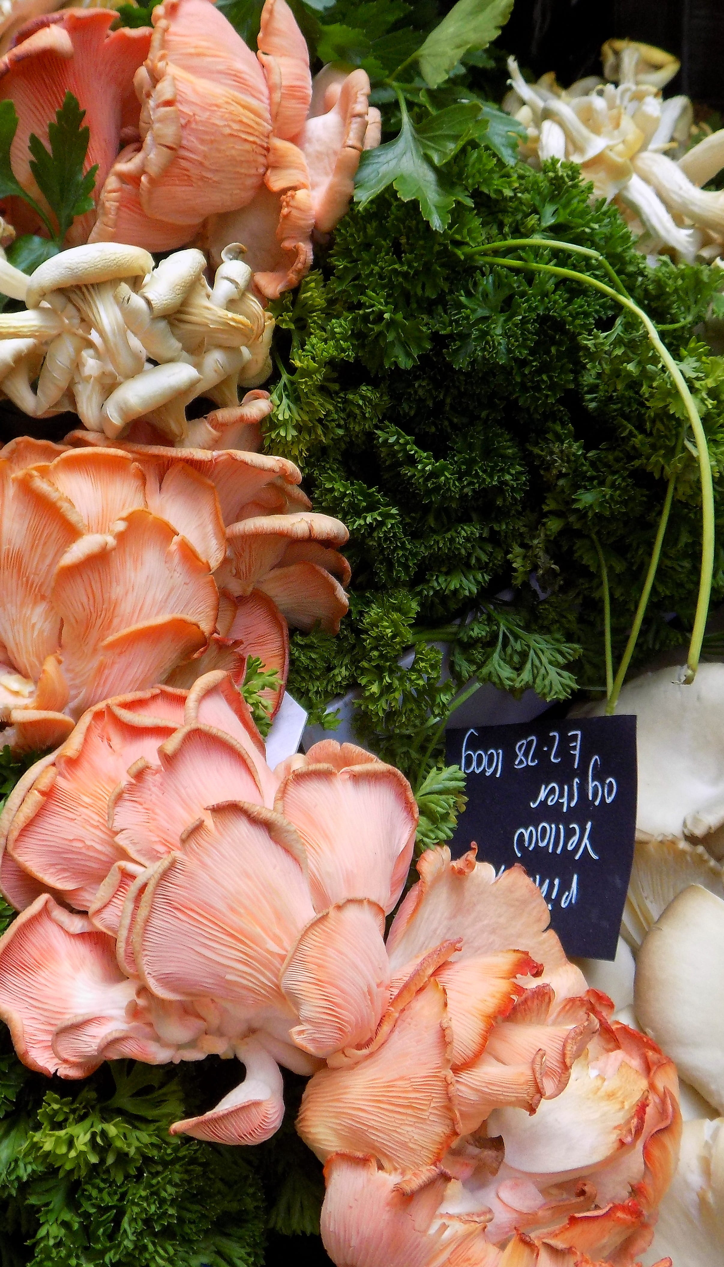 wellbeing, vegetable, no people, choice, large group of objects, 4K, retail display, freshness, for sale, food, raw food, mushrooms, price tag, market stall, Phone HD Wallpaper