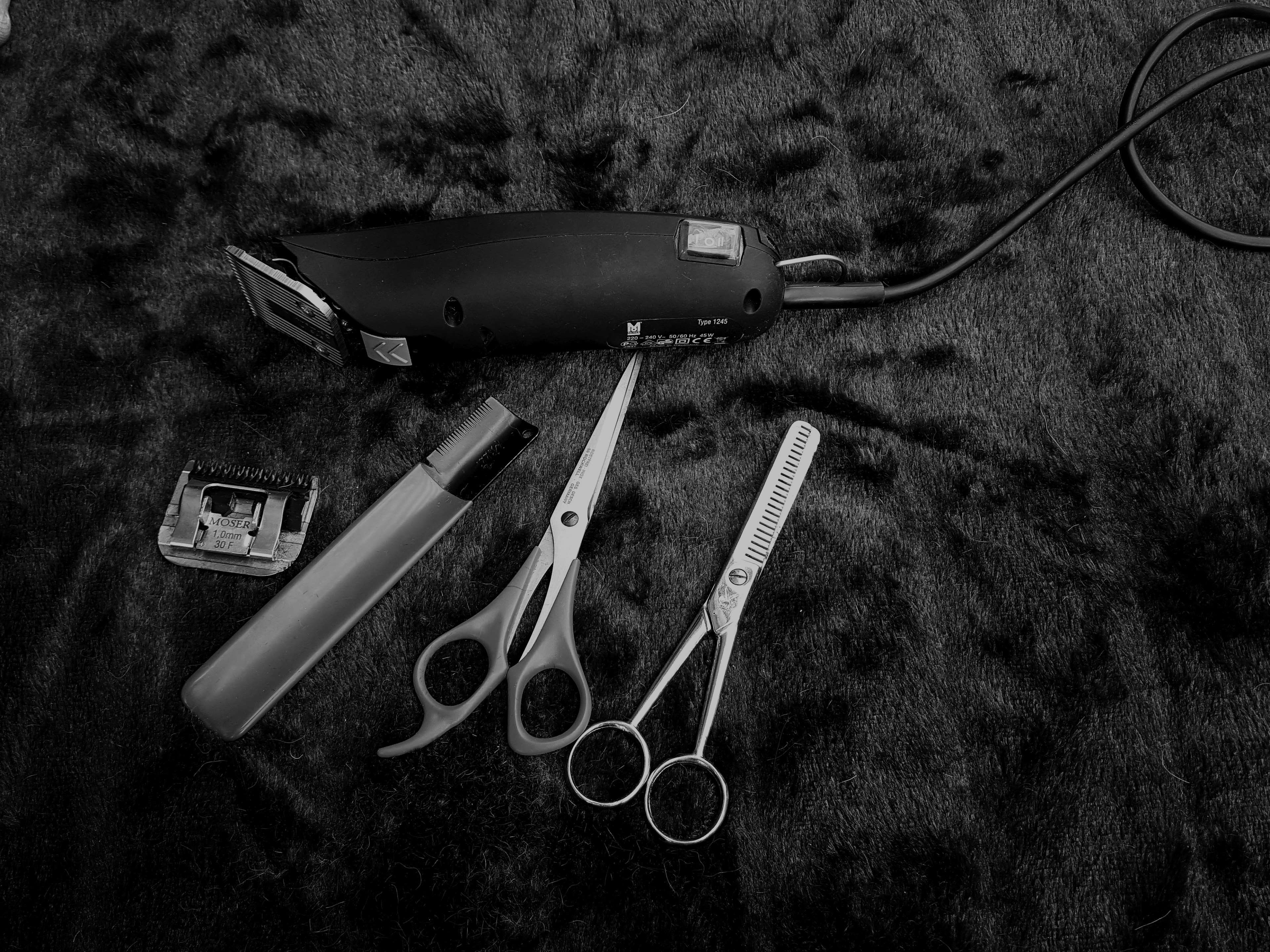 wellness, animals, black, day, groom, plant, indoors, high angle view, nature, transportation, pets, technical, barber, travel, black and white, no people, HD Wallpaper