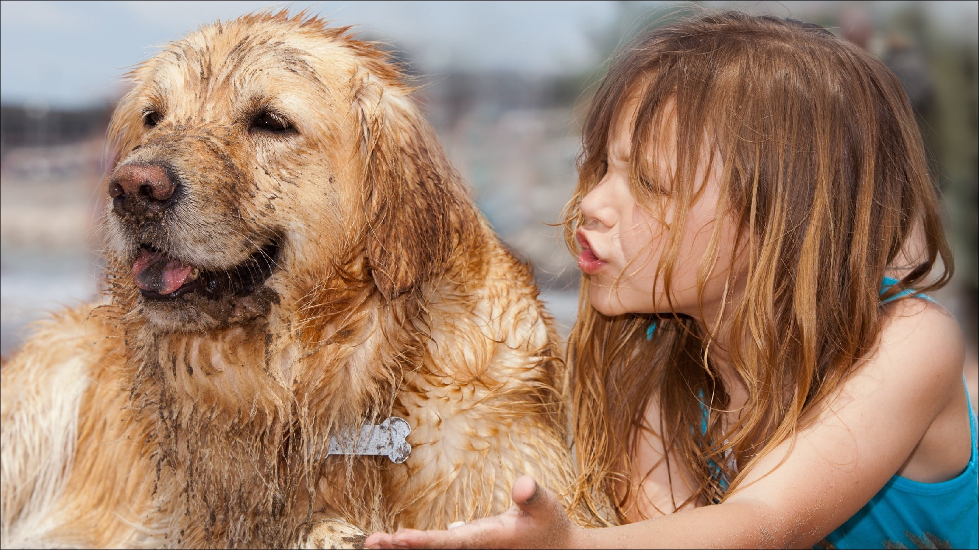 two, dog, girl, whoop, 1080P, oops, no commentS, HD Wallpaper