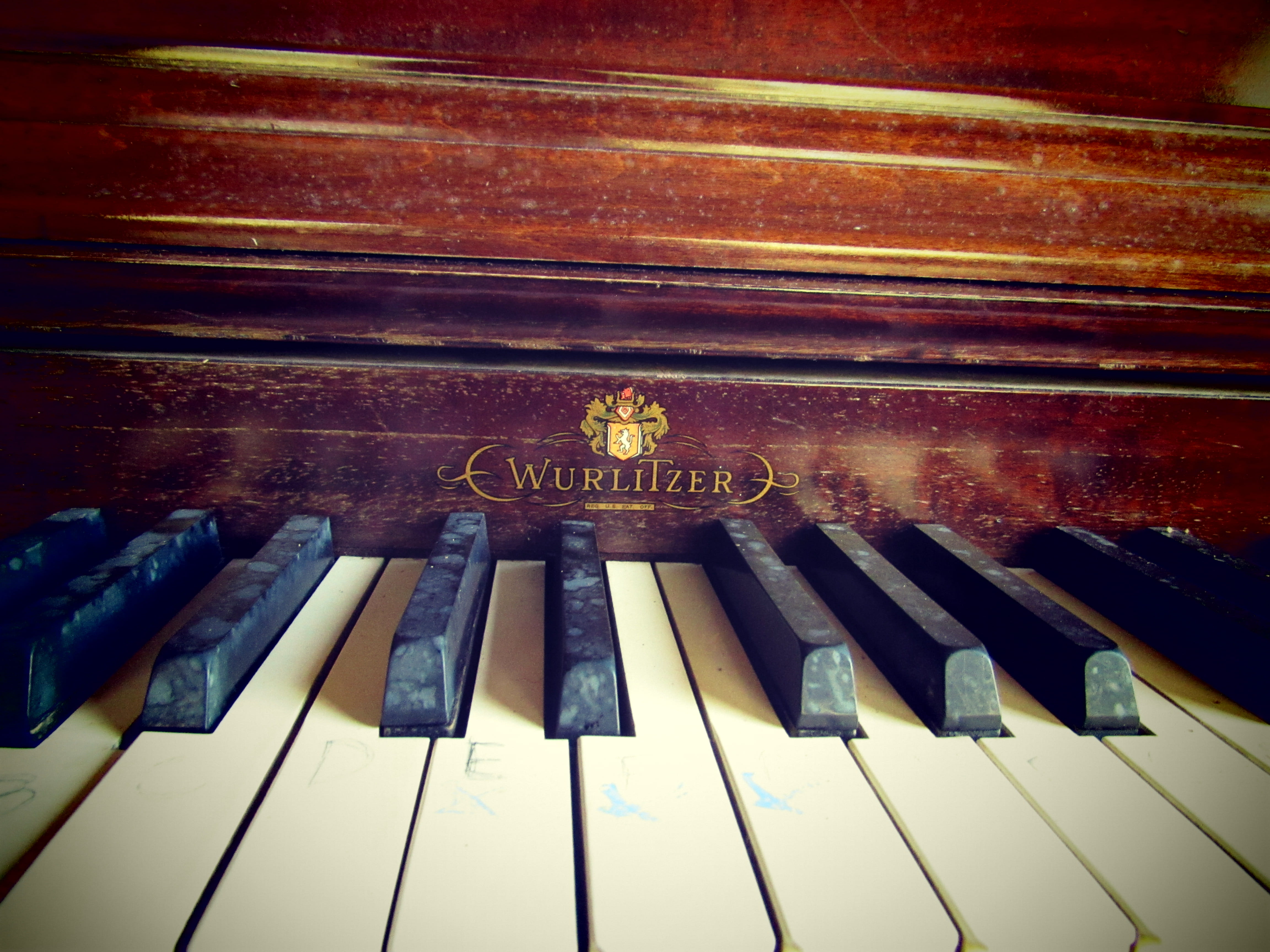 no people, close-up, indoors, quirky, black color, united states, musical instrument, keys, keyboard instrument, old, piano key, arts culture and entertainment, HD Wallpaper