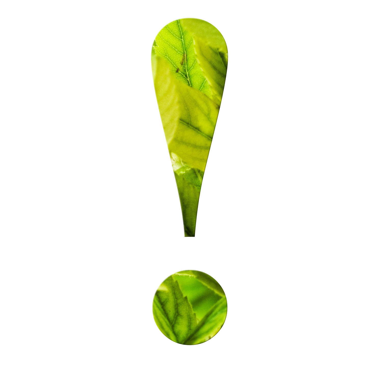 green, close-up, food, exclamation, no people, medicine, abstract, fresh, studio shot, plant, healthy lifestyle, single object, 720P, plant part, nature, Phone HD Wallpaper