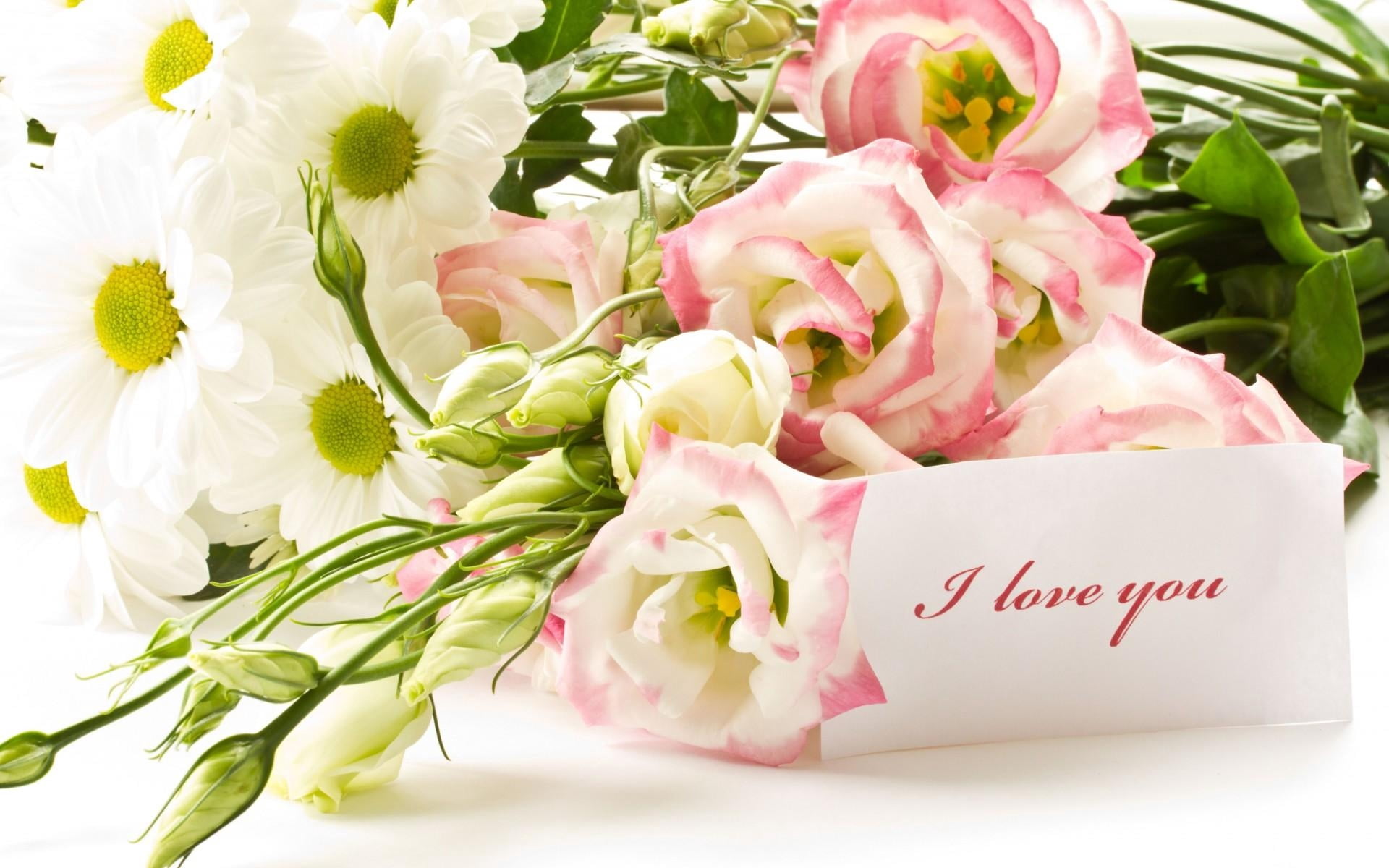 greeting Card, birthday, plant, gift, daisies, white, greeting, pink Color, flowers, 1080P, springtime, bouquet, love, message, romance, leaf, bunch, indoors, HD Wallpaper