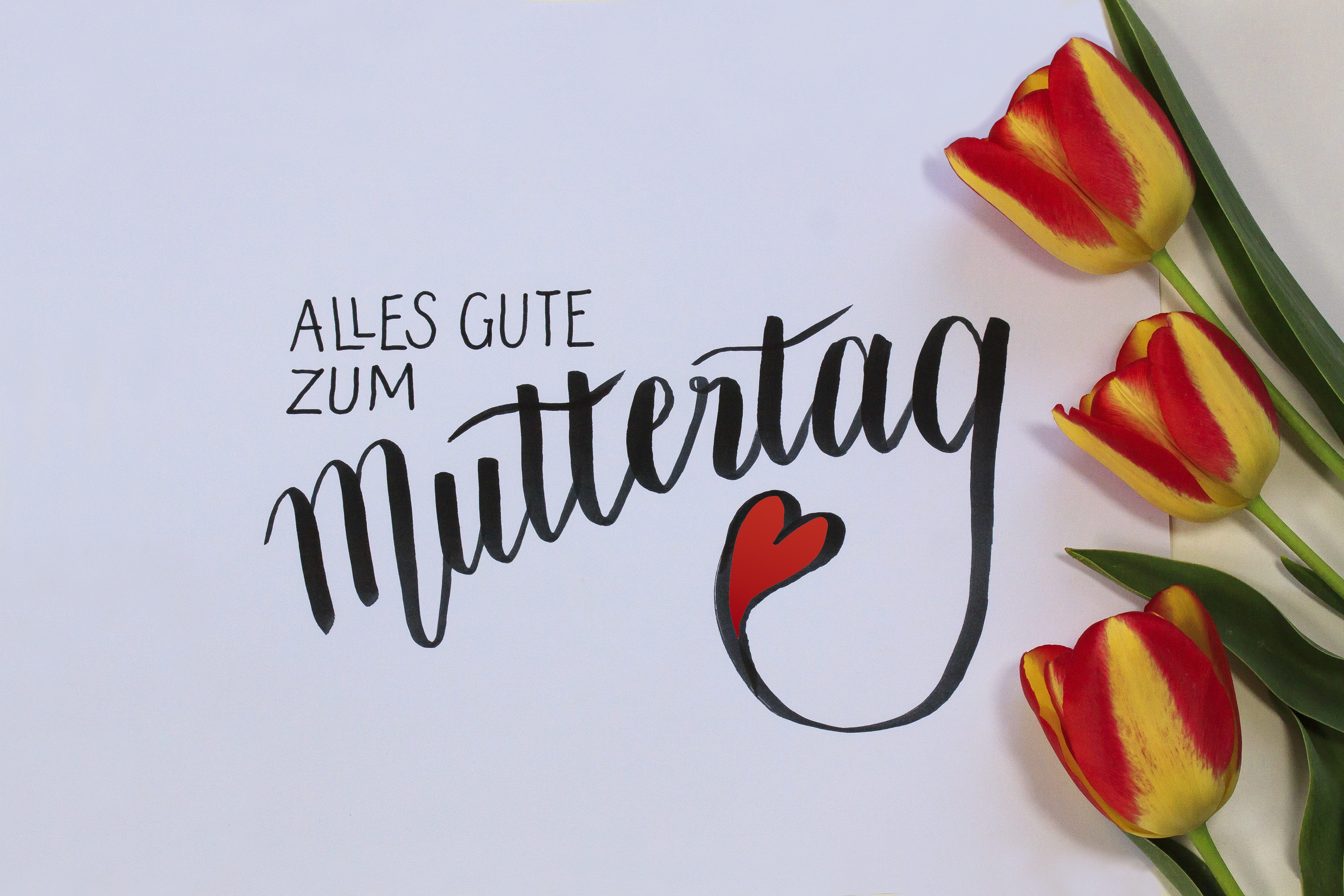overlay, healthy eating, luck, food and drink, western script, family, congratulate, food, 4K, welcome, no people, communication, emotion, message, single word, HD Wallpaper