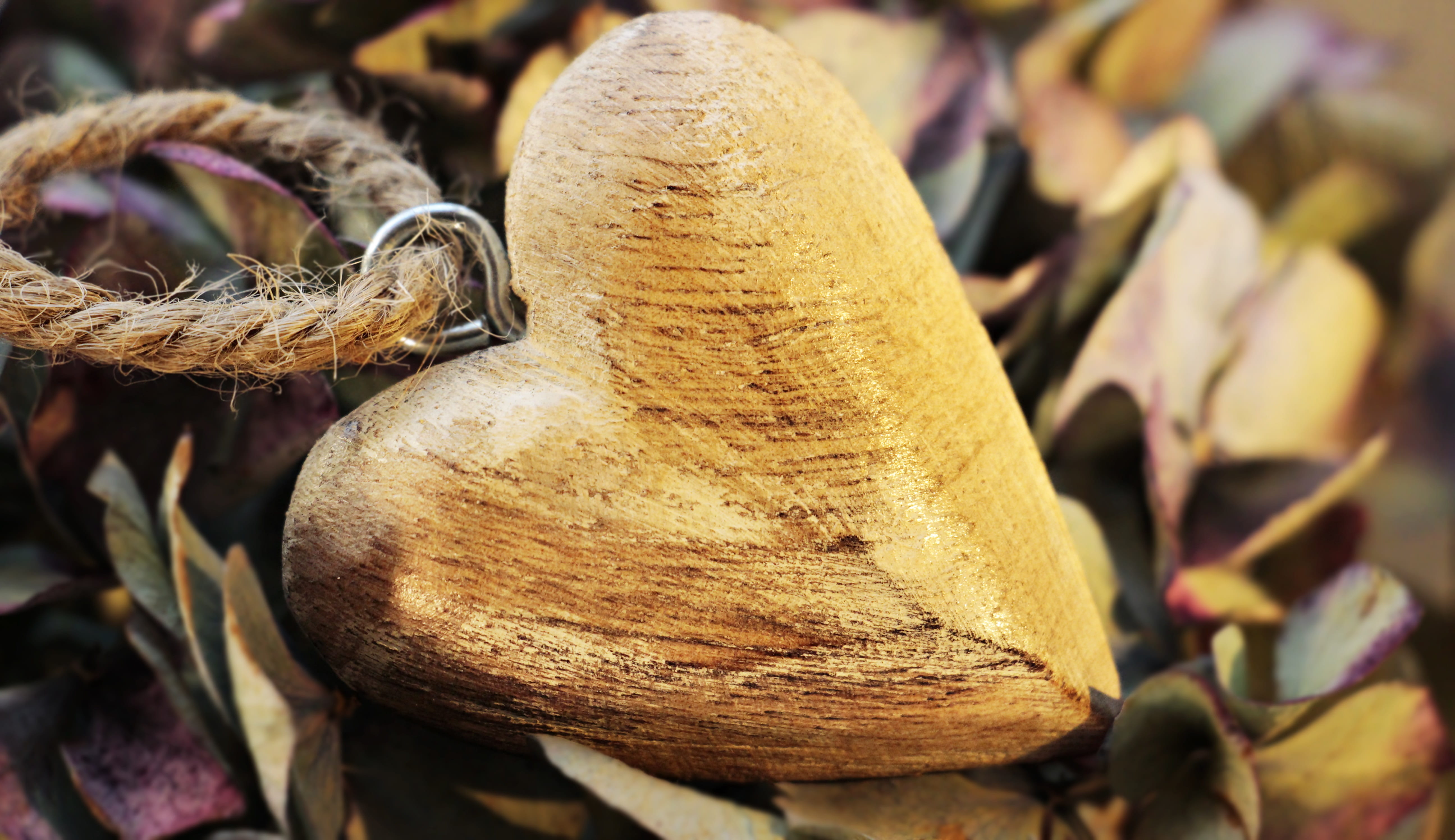 food, focus on foreground, herzchen, luck, leaf, welcome, hydrangea, wooden heart, outdoors, nature, tree, wooden, plant, wood, dry, no people, valentine, HD Wallpaper