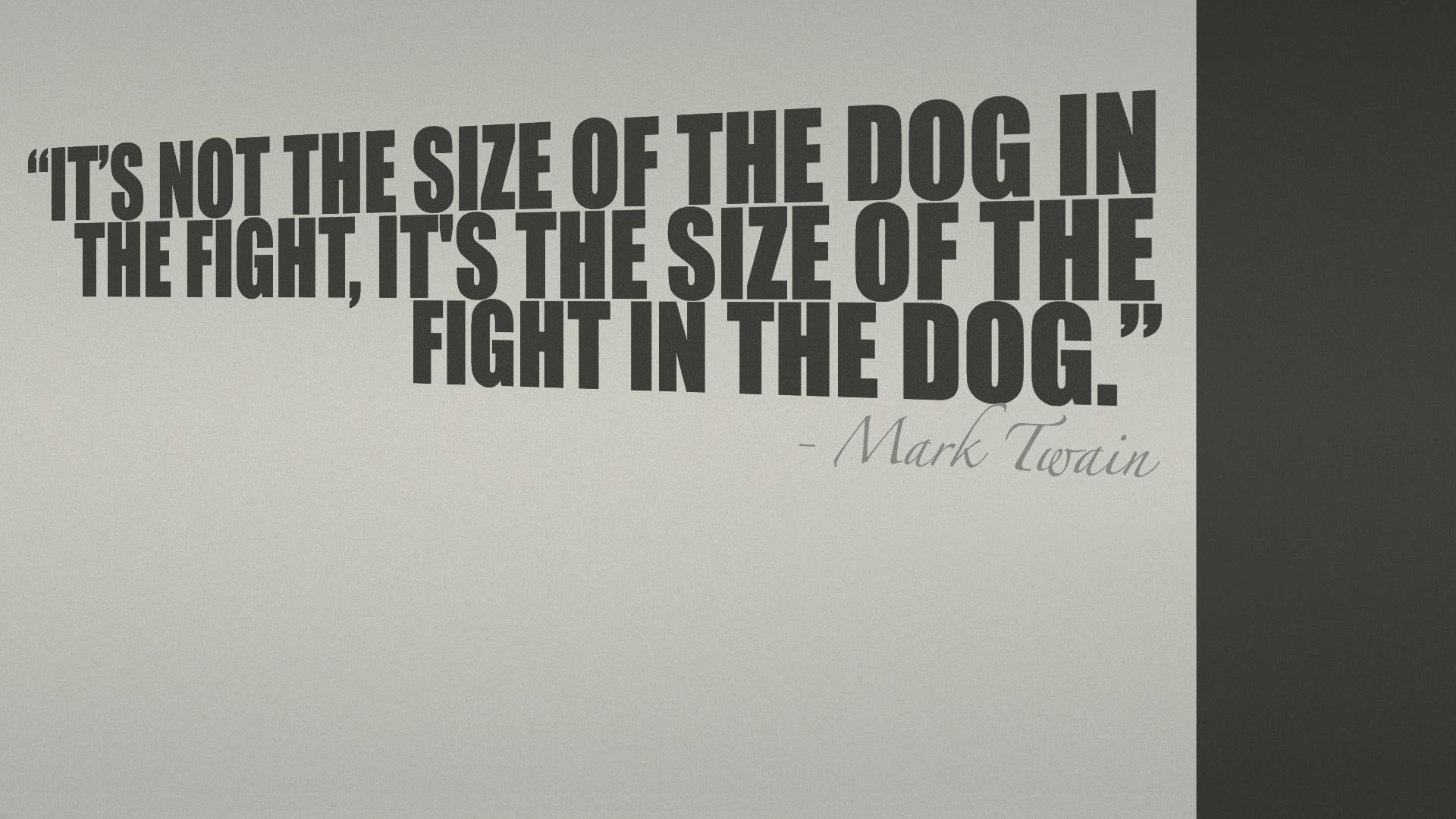 photography, animals, dogfight, animal, 1080P, quote, words, mark twain, HD Wallpaper