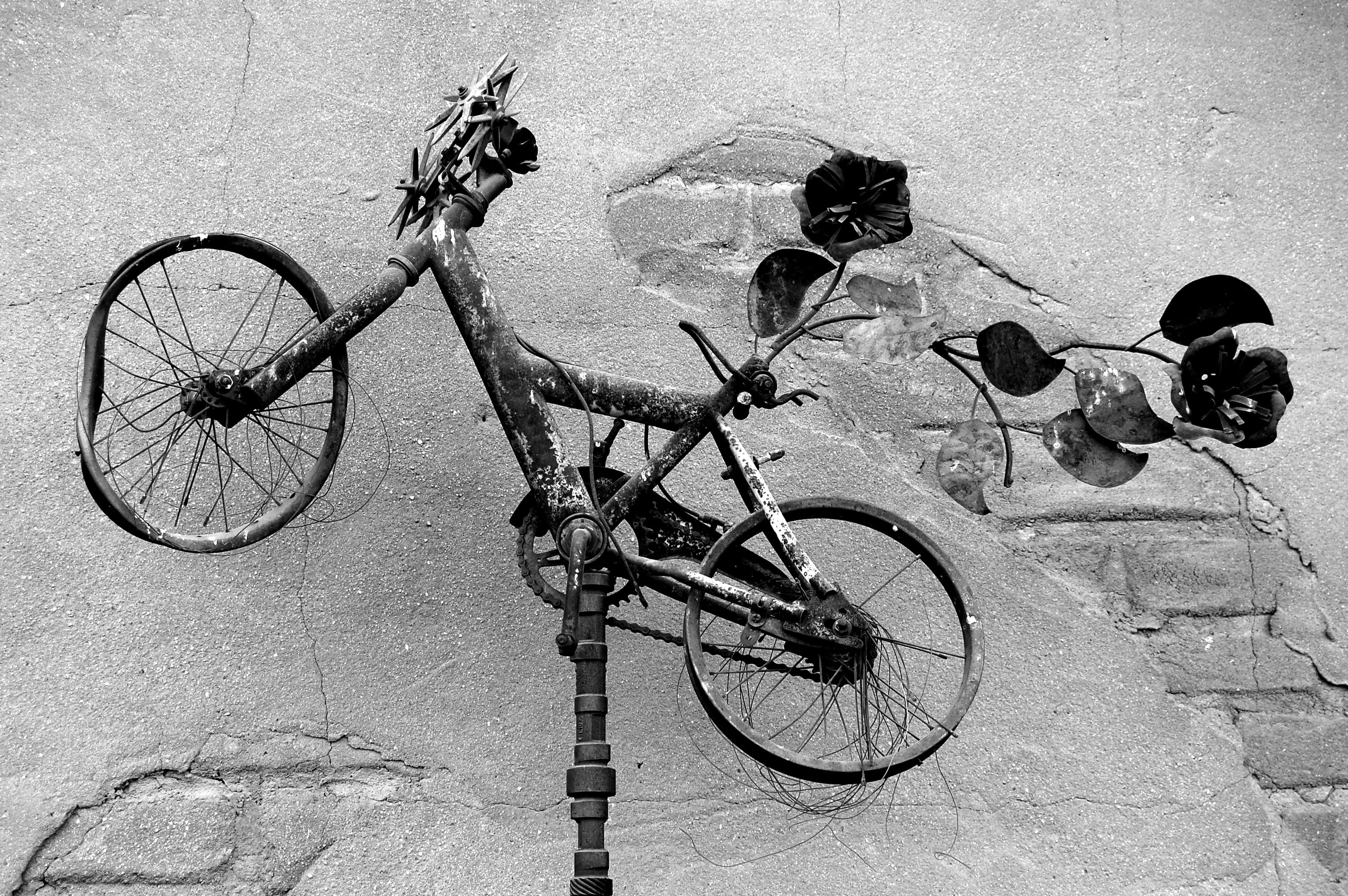 transportation, 2K, sunlight, nature, bike, black and white, land vehicle, outdoors, built structure, day, shadow, architecture, stationary, sculpture, HD Wallpaper