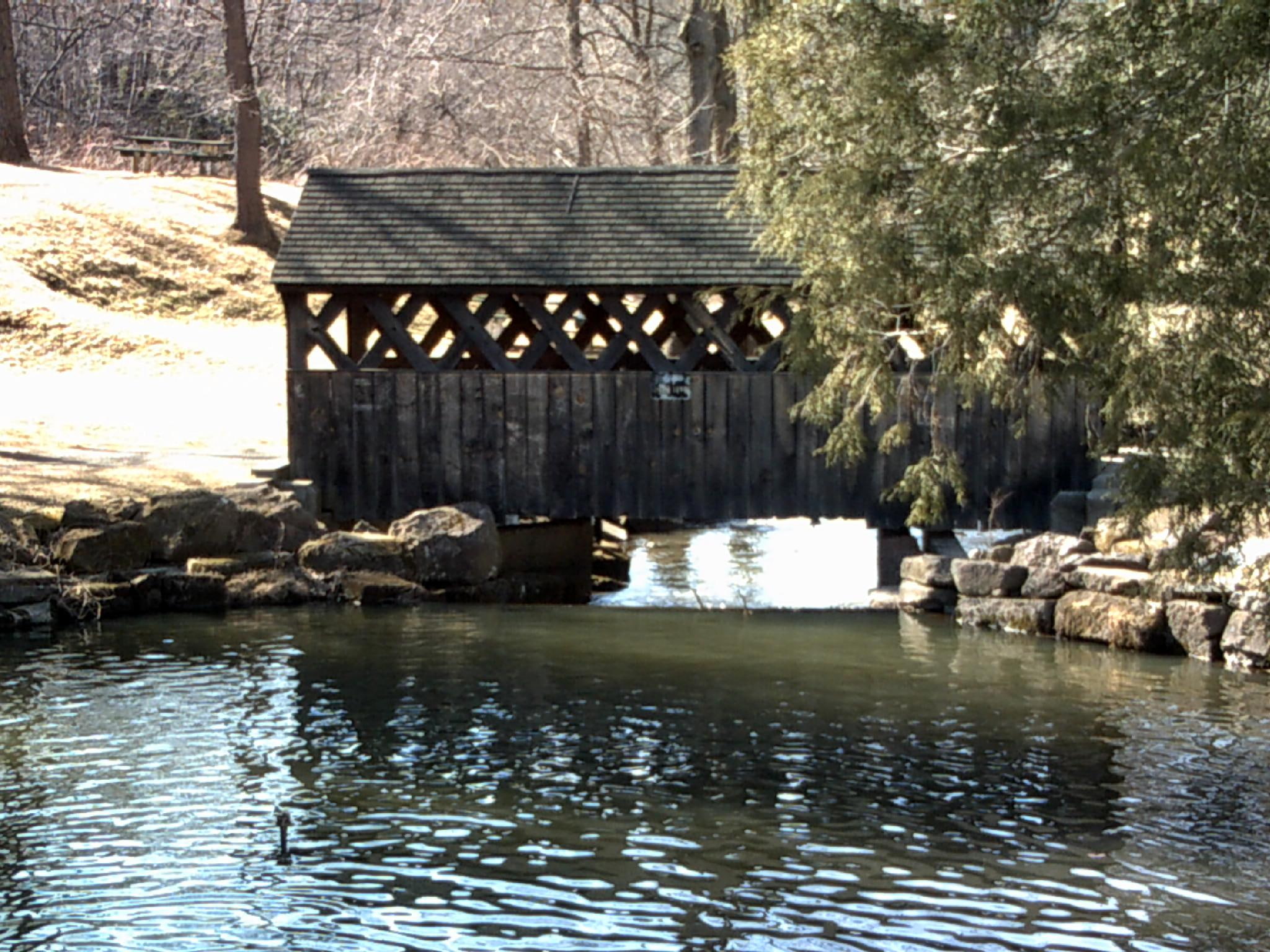 cherish, tunnel, days, lakes, 3d and abstract, woods, 1080P, HD Wallpaper