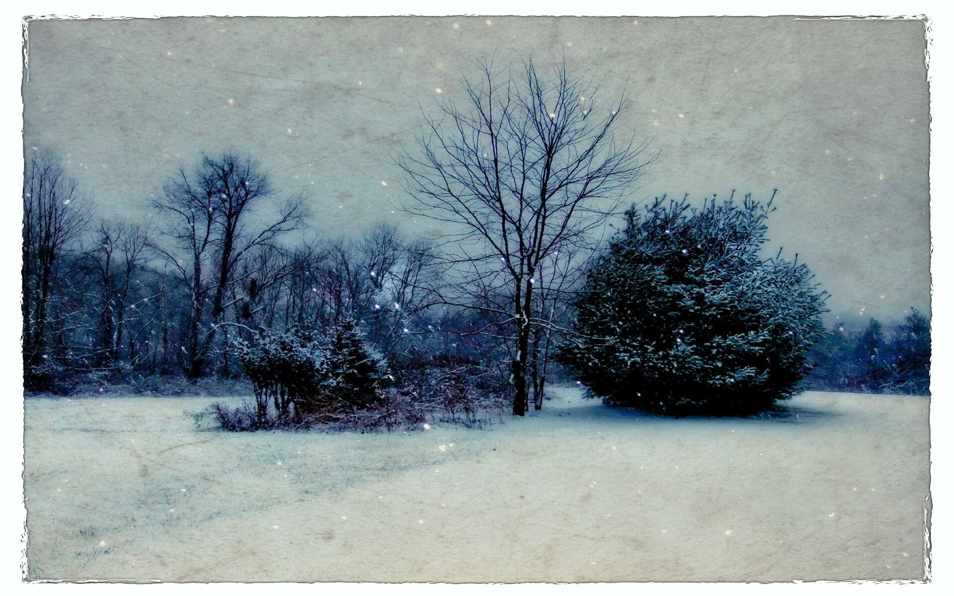 1080P, snow, 3d and abstract, yesterday, trees, HD Wallpaper