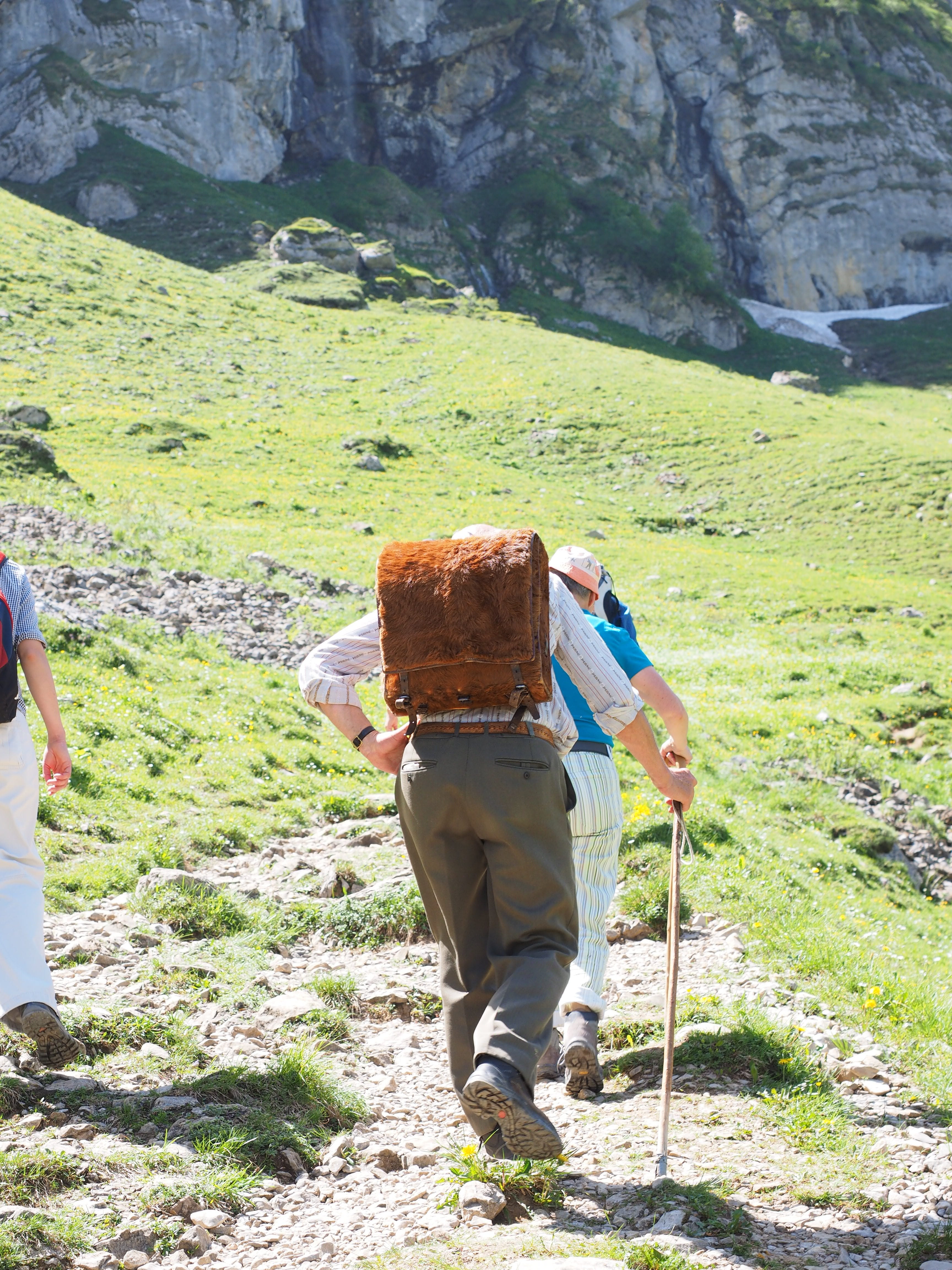 hiking tour, yesterday, hard, plant, adult, bear, backpack, mountaineer, holding, 4K, packed, mountain hike, occupation, nature, mountain, old fashioned, Phone HD Wallpaper