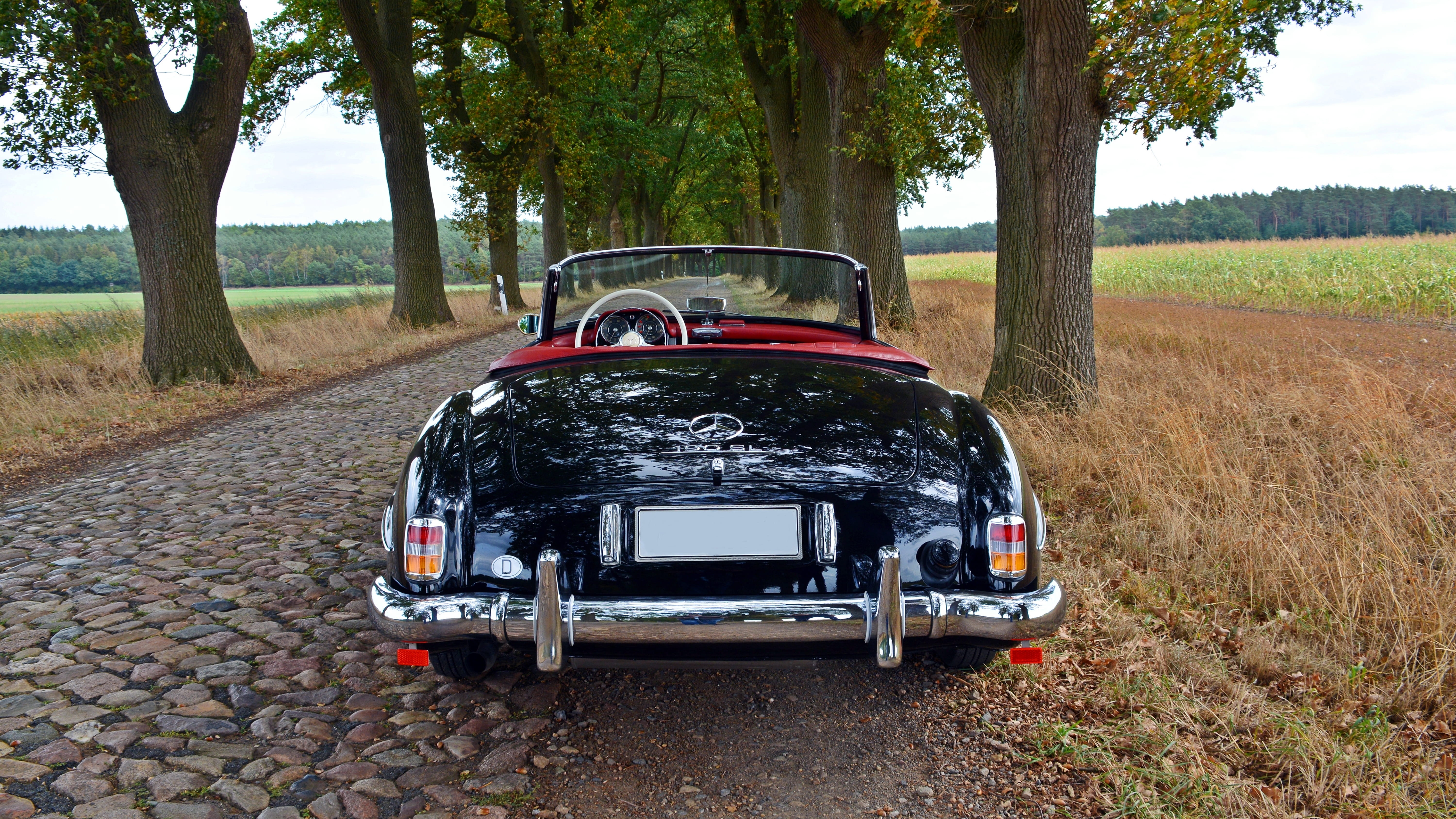 outdoors, nostalgic, motor vehicle, plant, no people, landscape, tree trunk, sky, stationary, historically, cabriolet, road, nature, day, transportation, HD Wallpaper