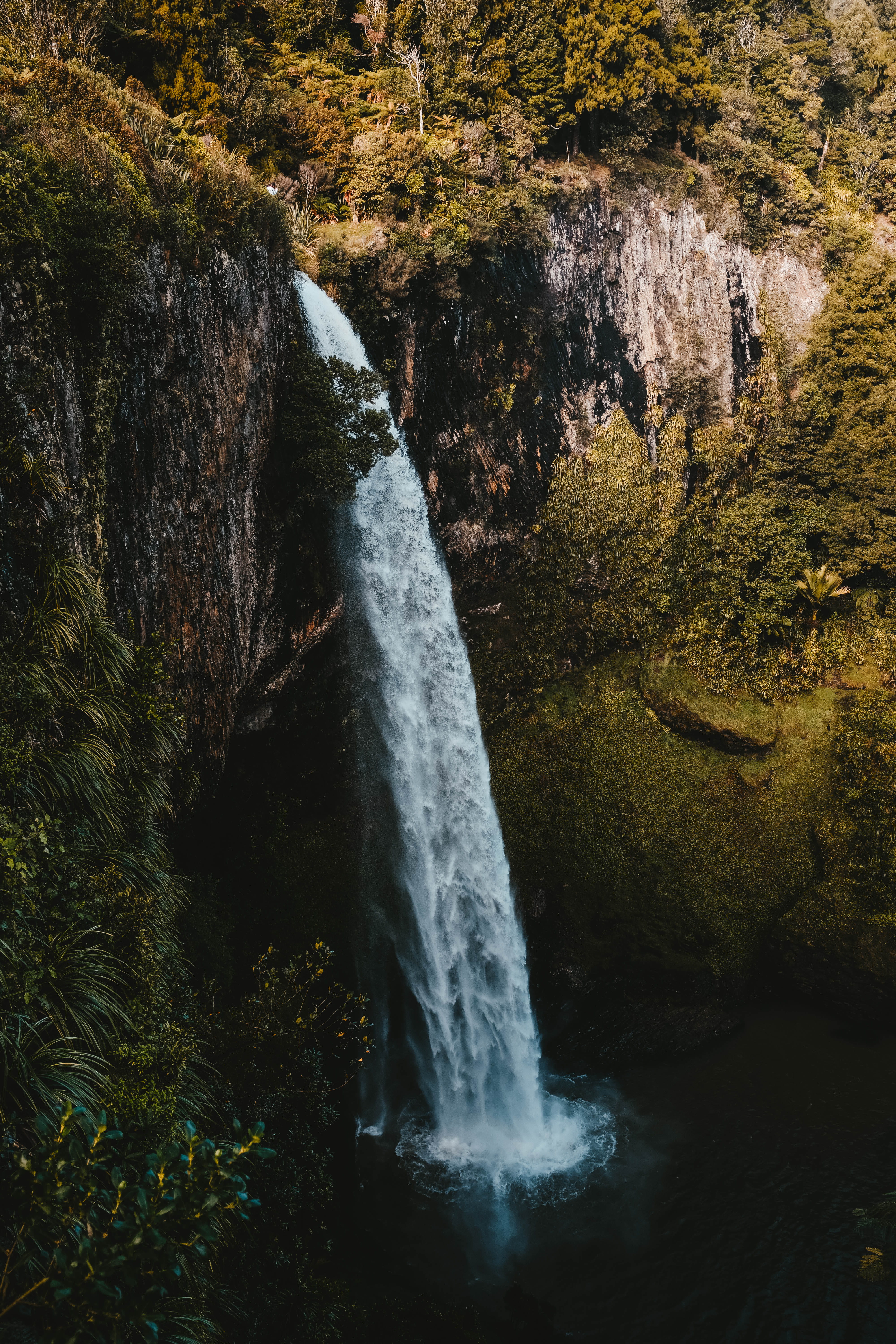 outdoors, stream, 5K, falls, scenics, natur, green, forest, high, sunlight, beauty In Nature, green Color, cliff, mountain, falling, rock - Object, Phone HD Wallpaper