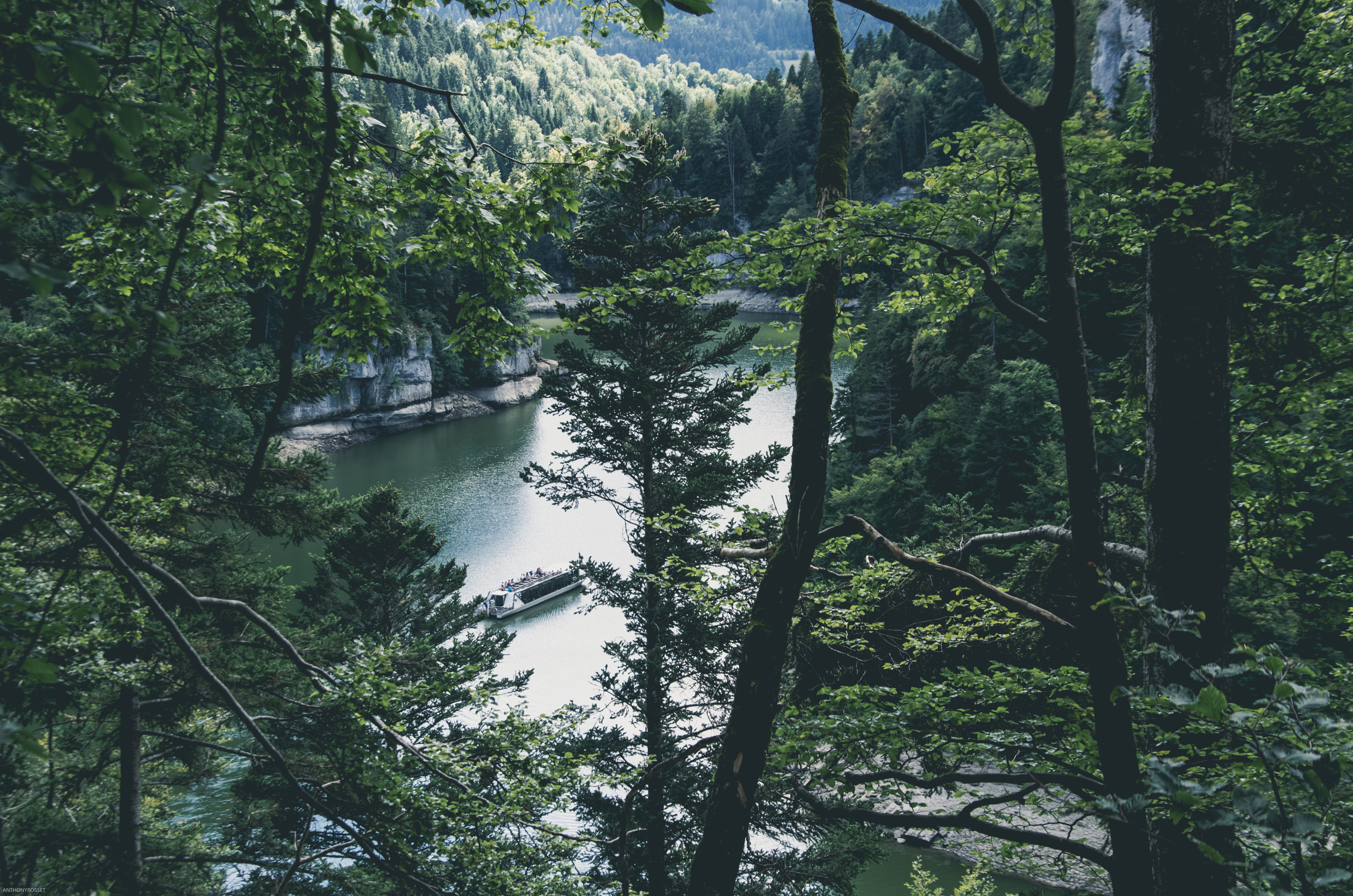 tranquil scene, doubs, green color, river, low angle view, bamboo - plant, rainforest, plant, tree, tranquility, built structure, no people, land, scenics - nature, HD Wallpaper