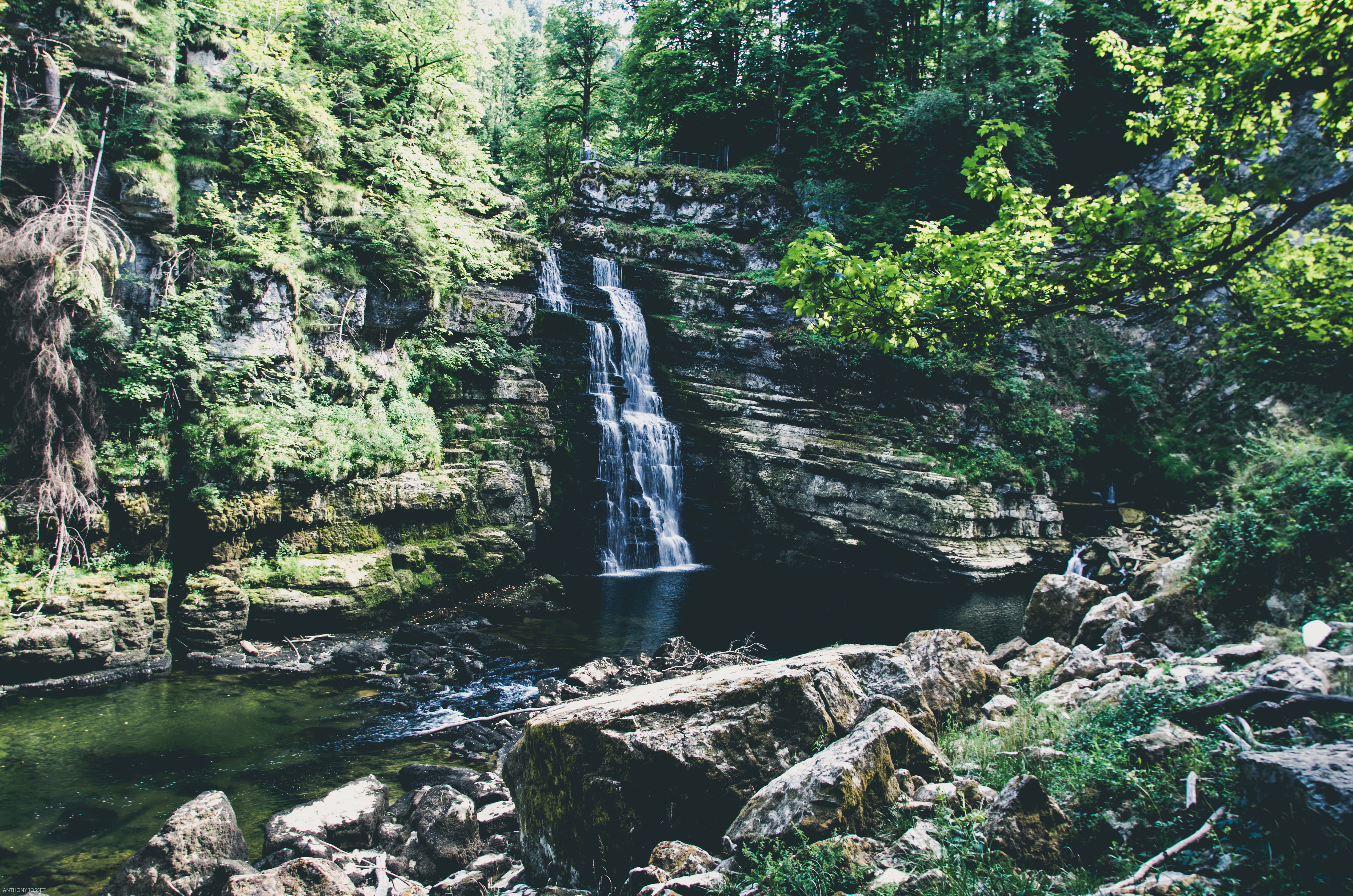 no people, border, rainforest, tree, scenics - nature, les brenets, flowing water, motion, forest, waterfall, solid, land, rock - object, la chaux de fonds, HD Wallpaper